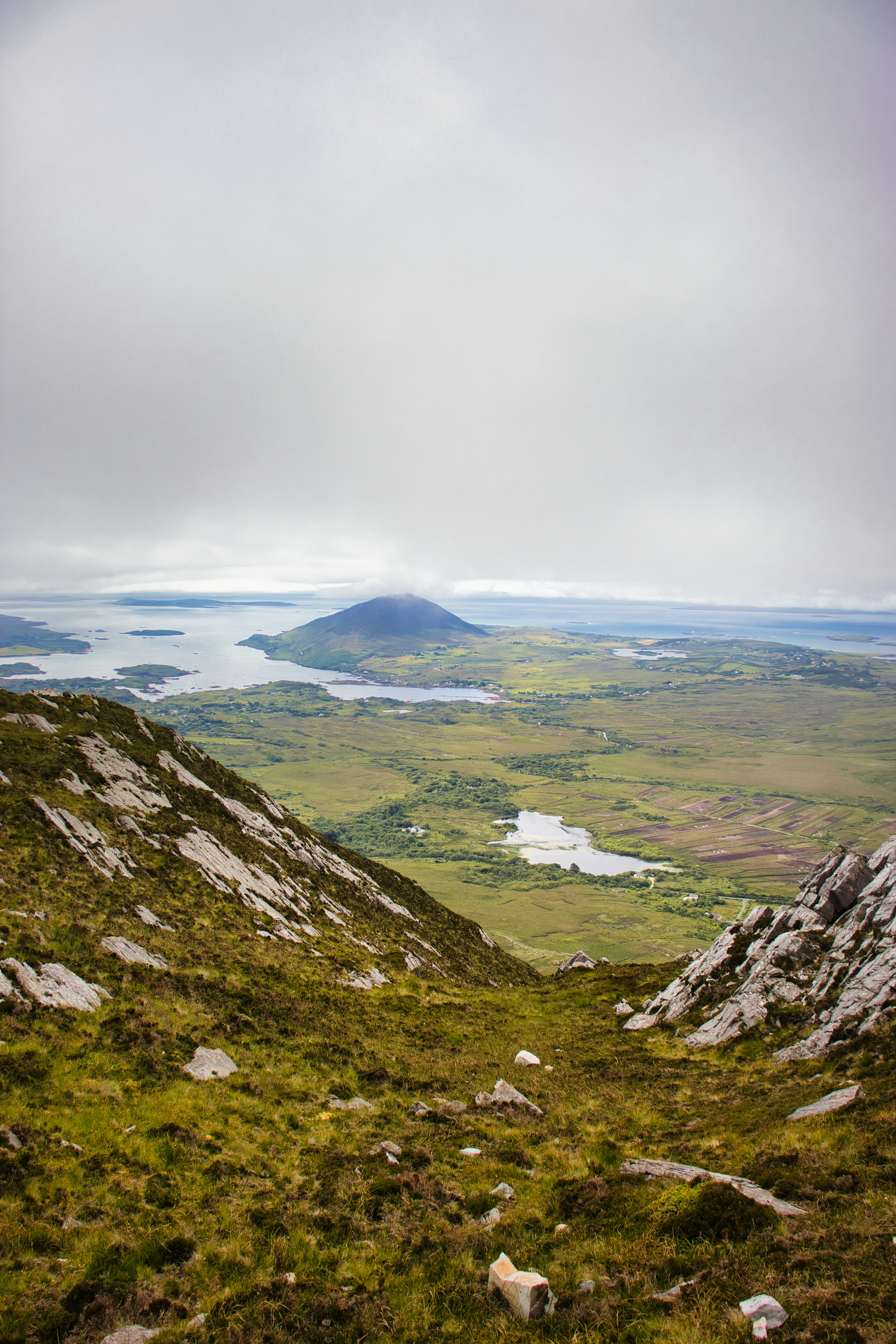 Photo by paws_and_prints