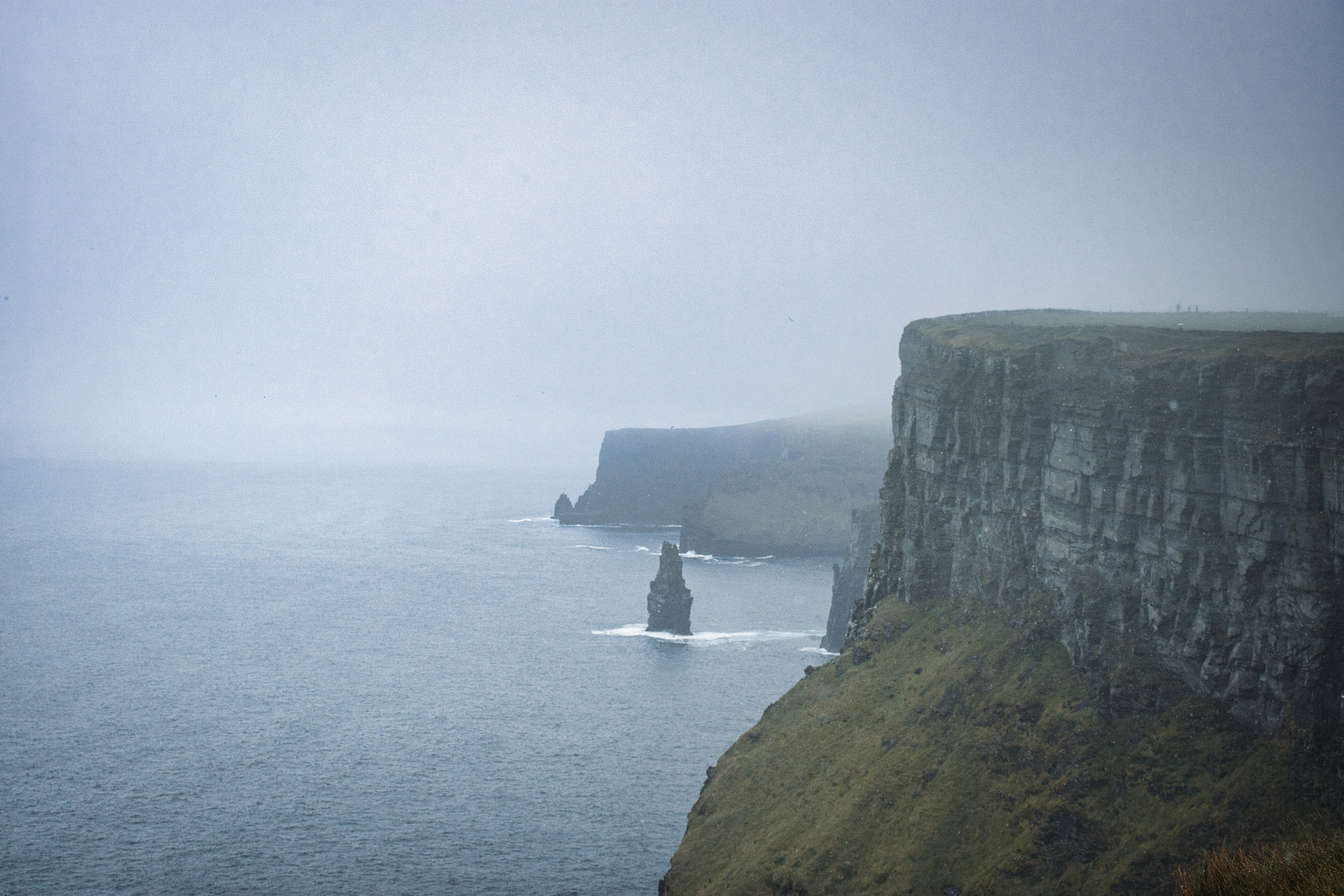 Photo by paws_and_prints