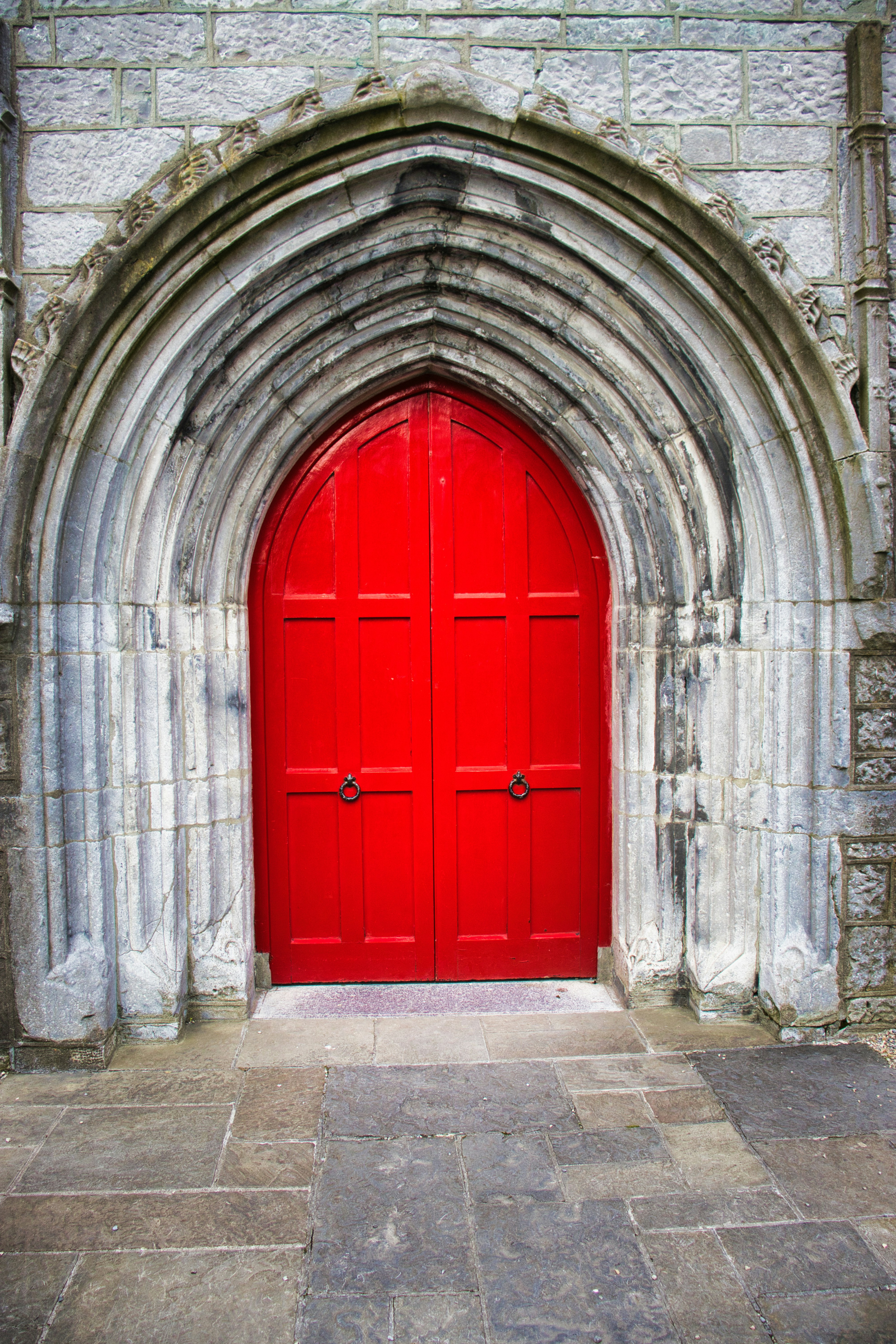 Photo by paws_and_prints