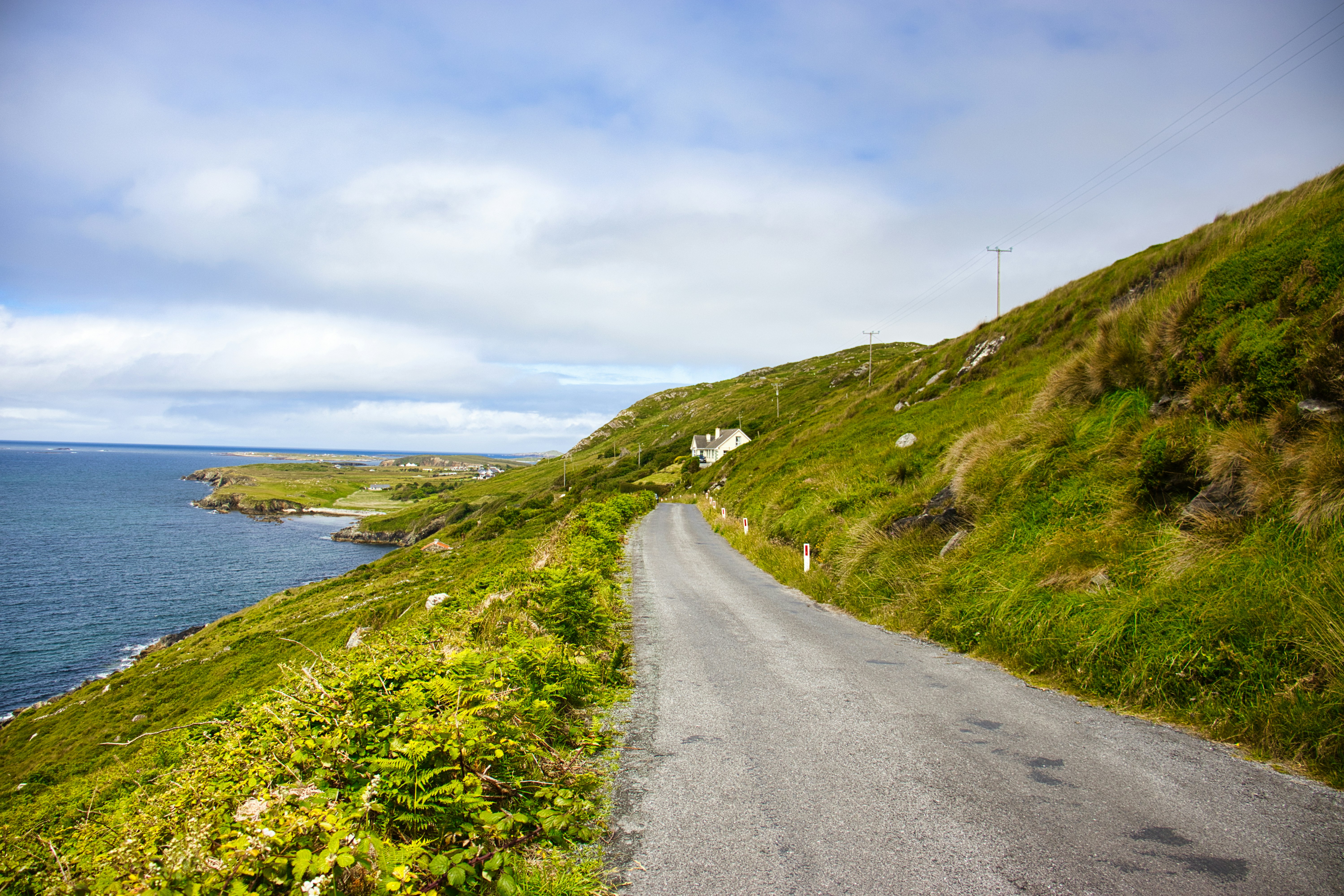 Photo by paws_and_prints