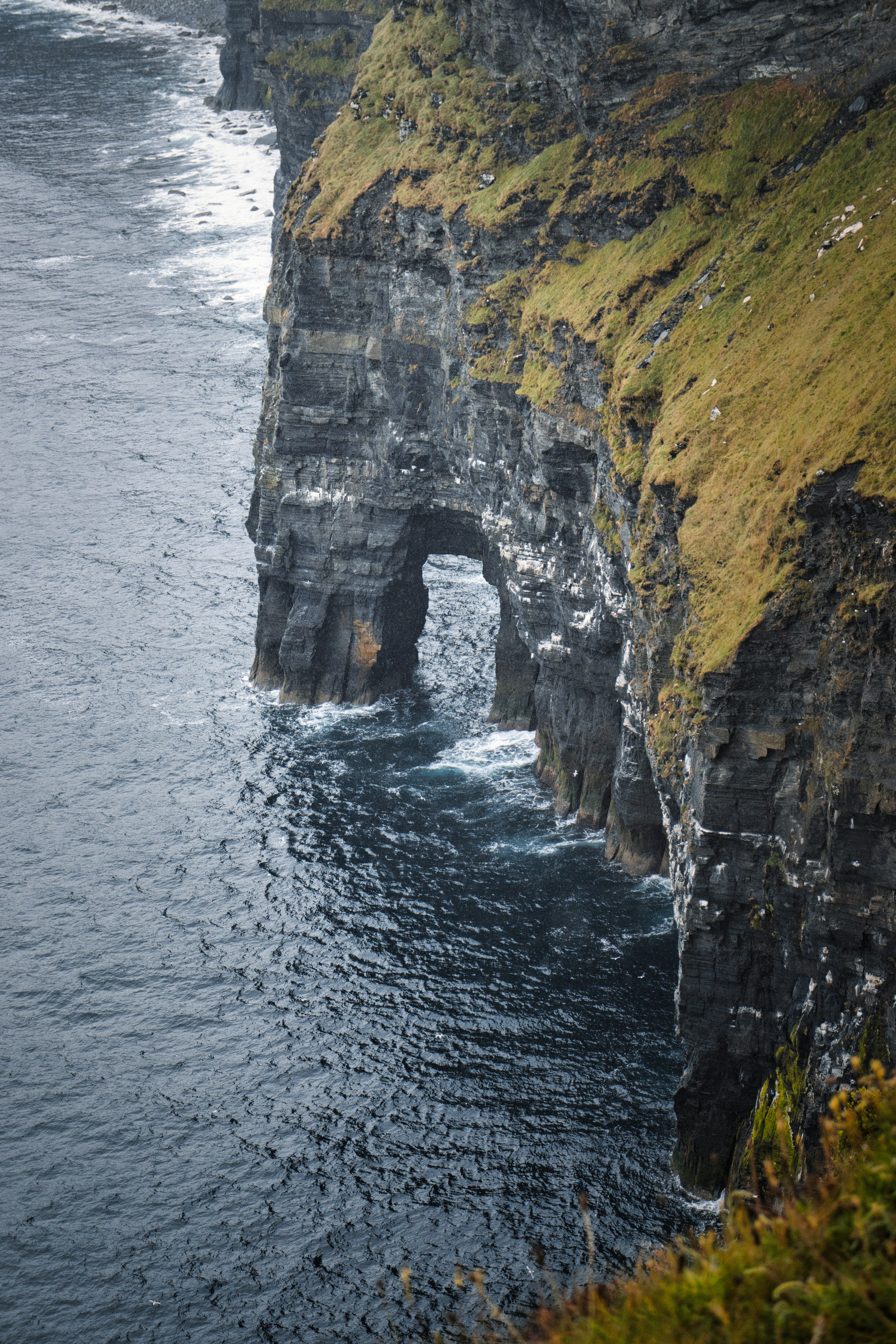 Photo by paws_and_prints