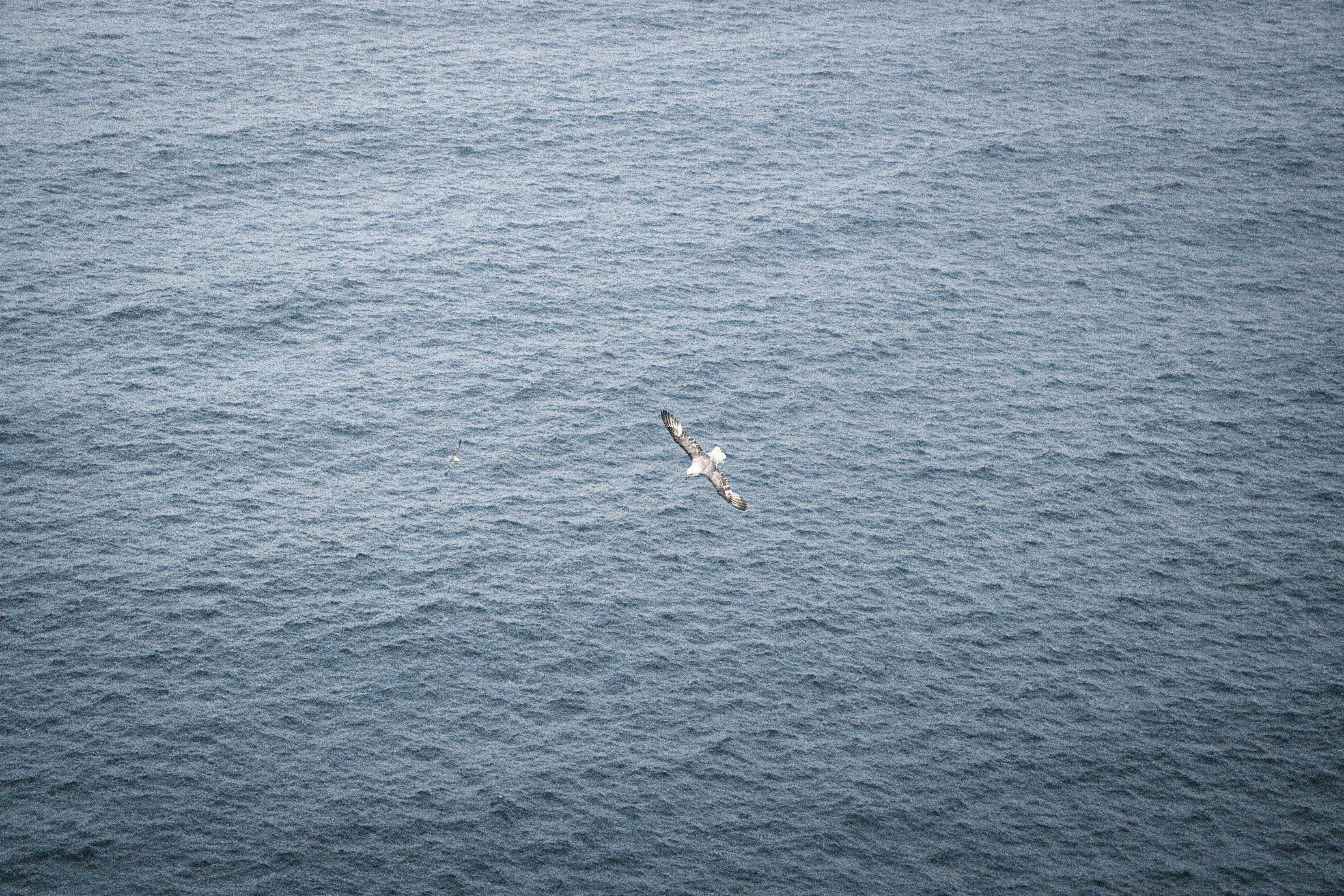 Photo by paws_and_prints