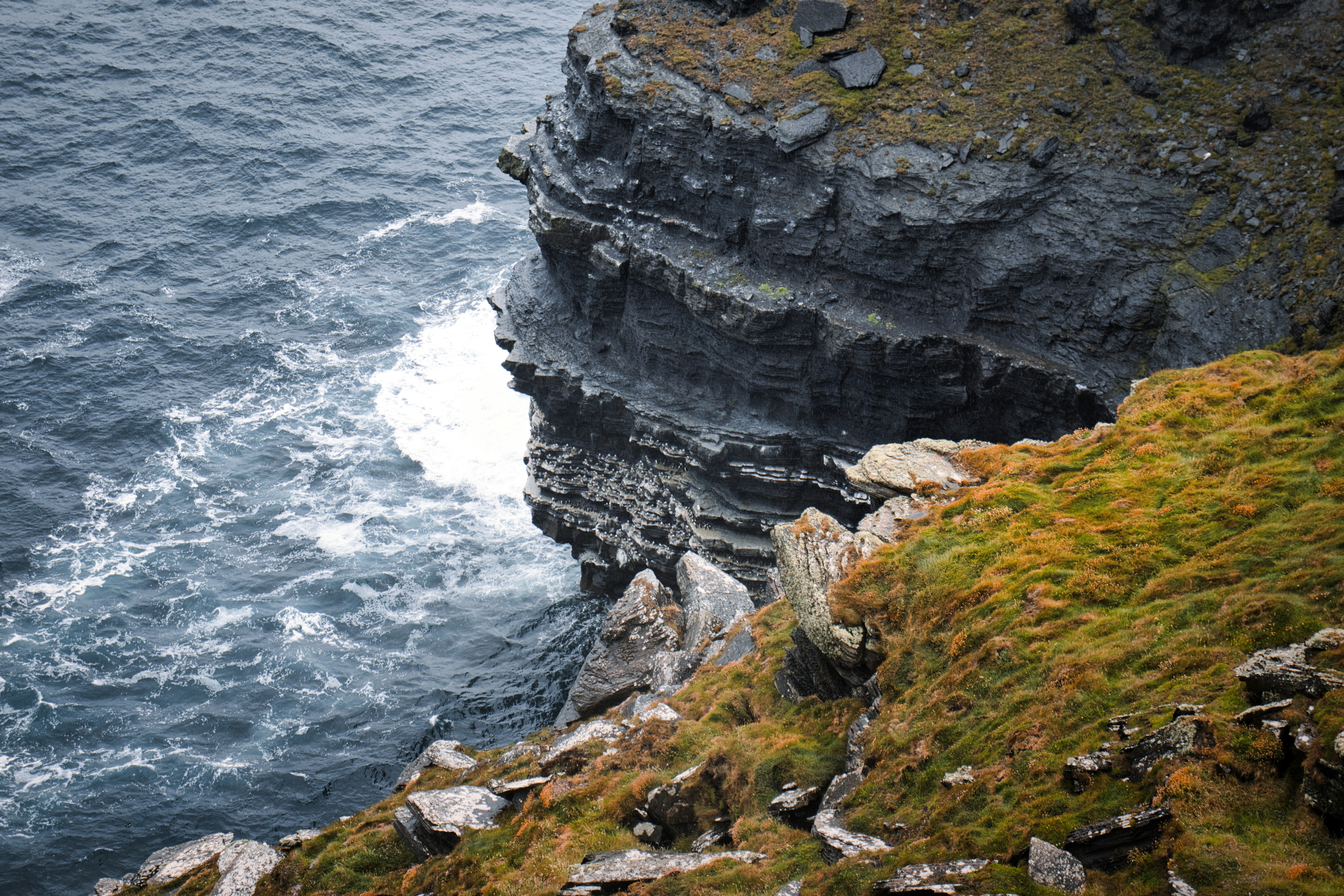 Photo by paws_and_prints