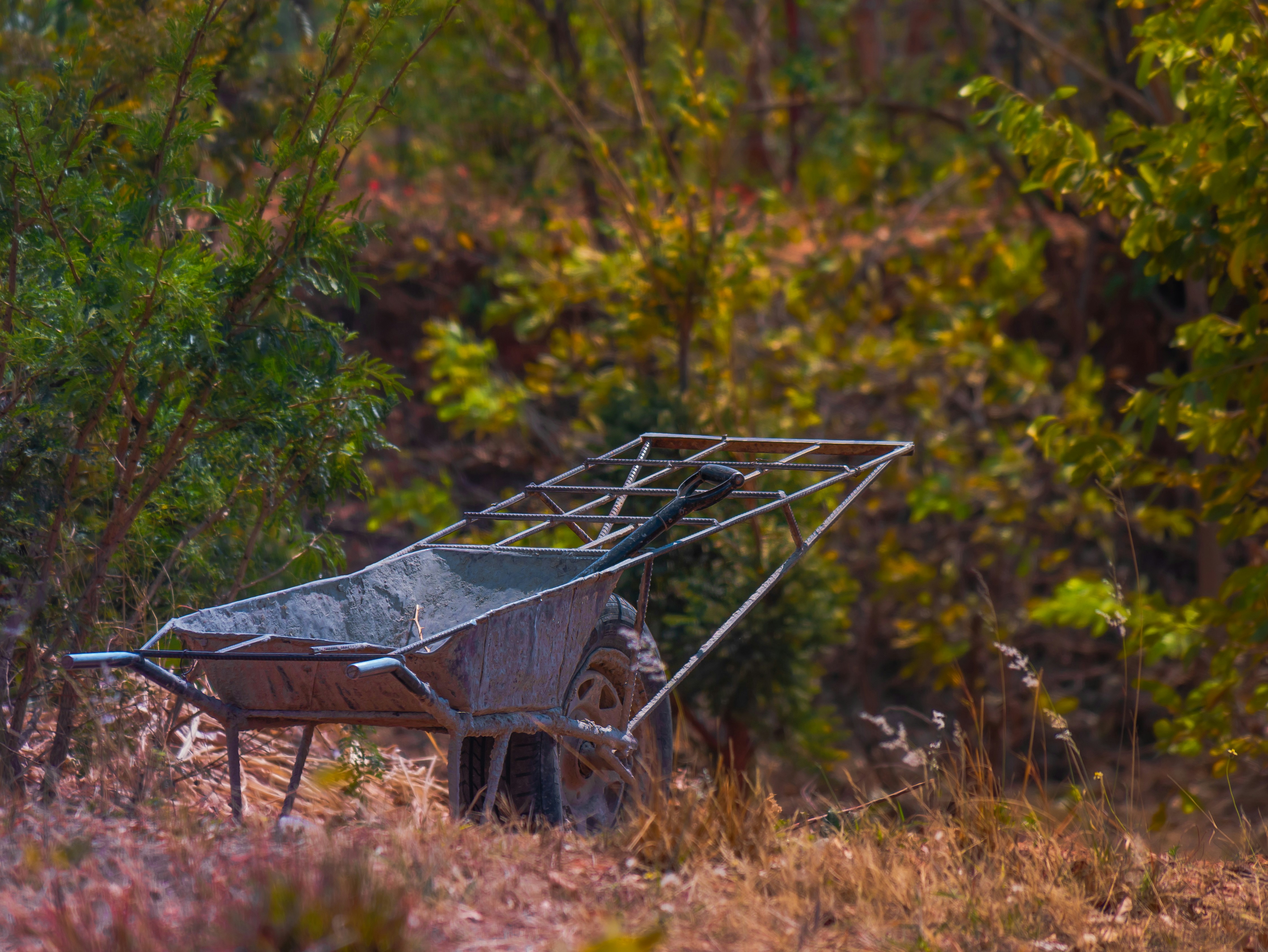 An old wheelbarrow sits in a dry, wooded area.