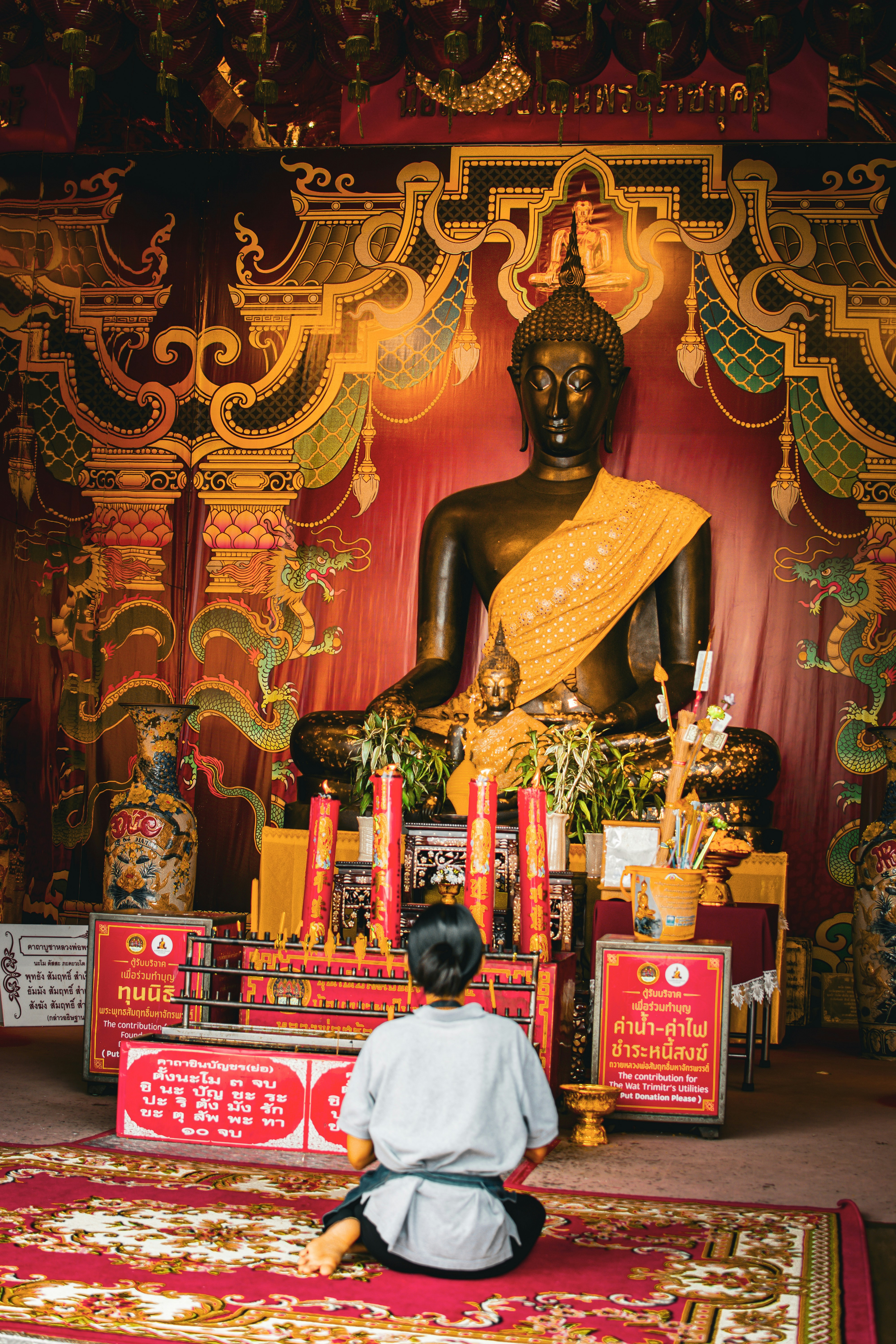 Person praying before large buddha statue