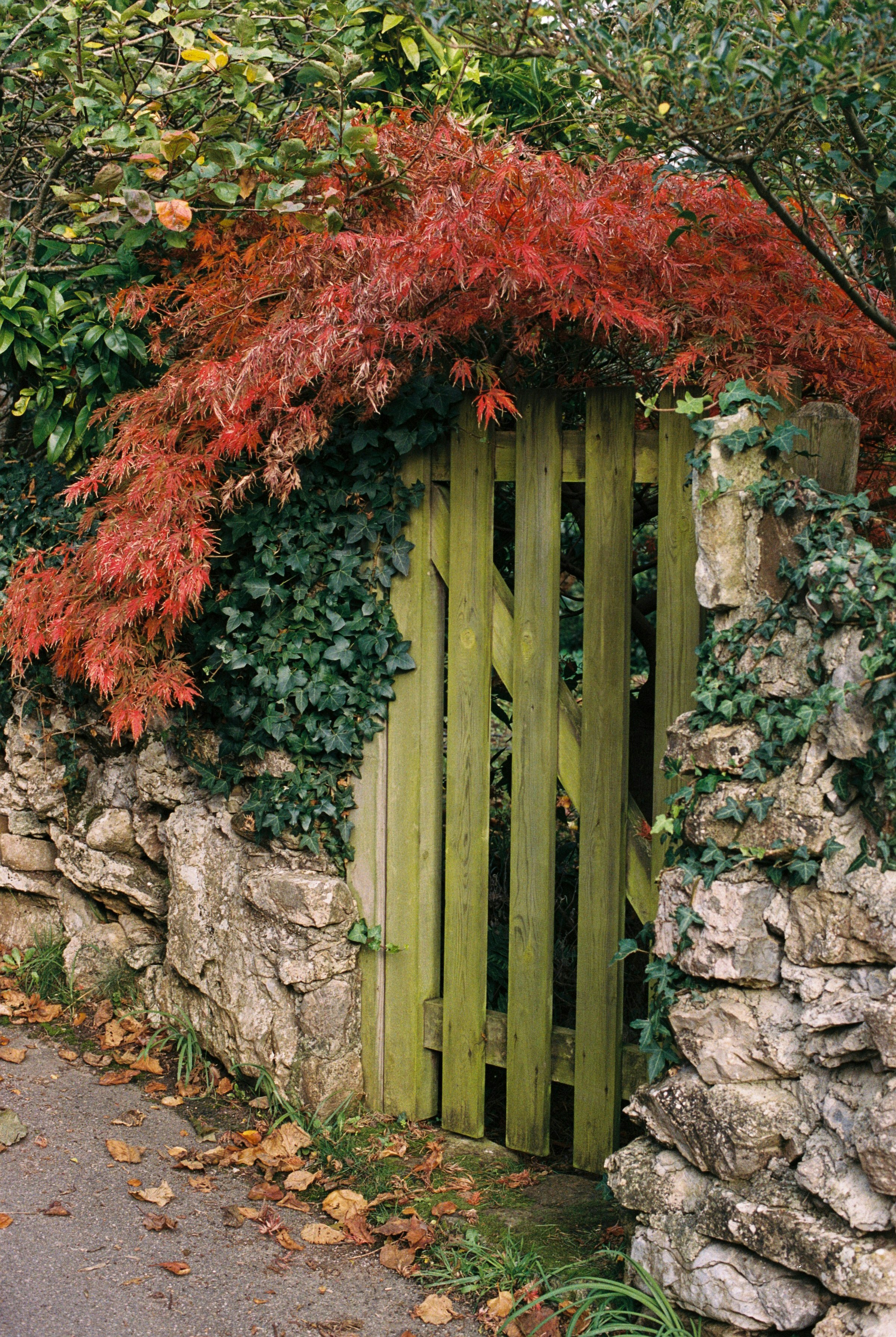 Wooden gate surrounded by stone walls and autumn foliage