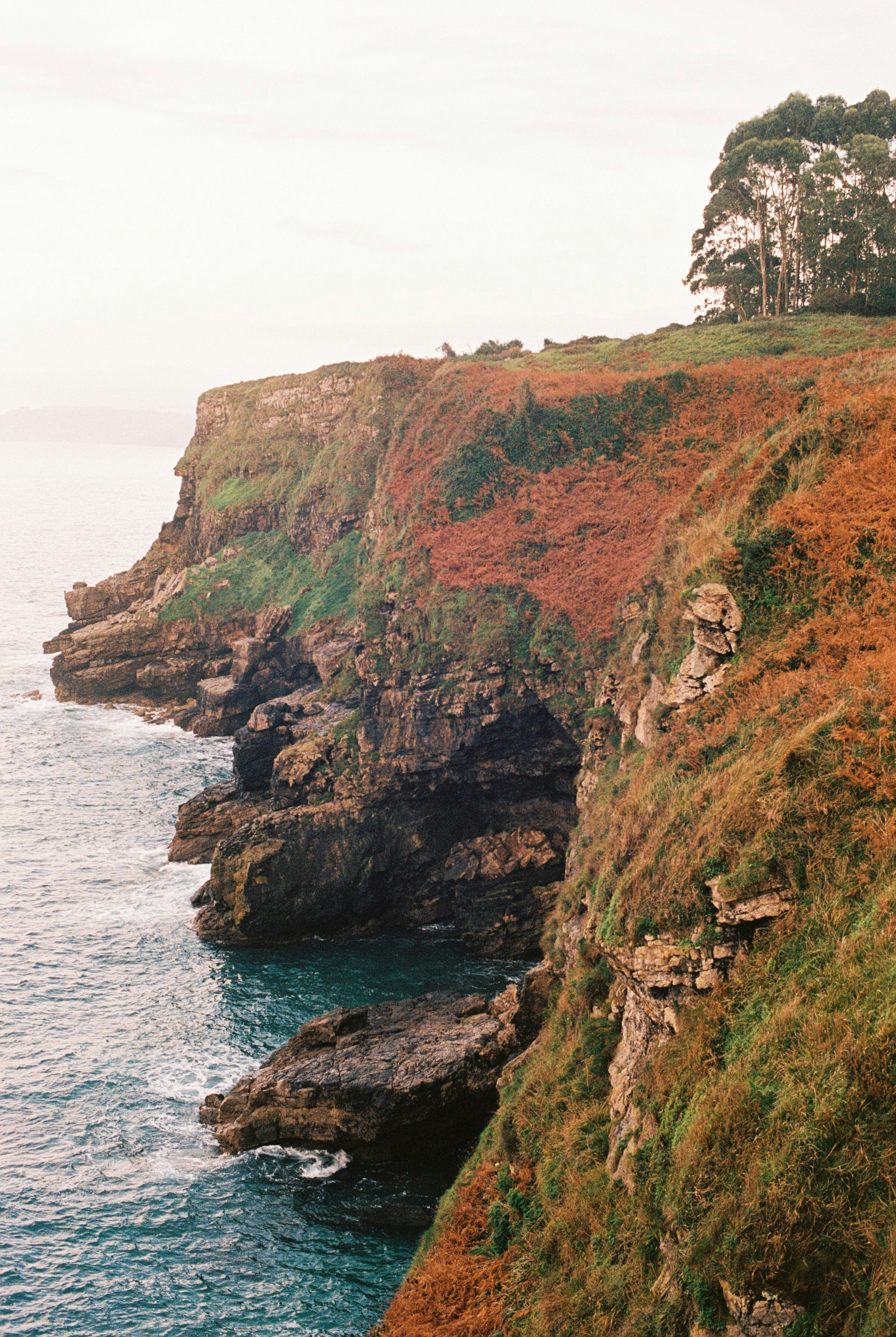 Photo by pelayoarbues