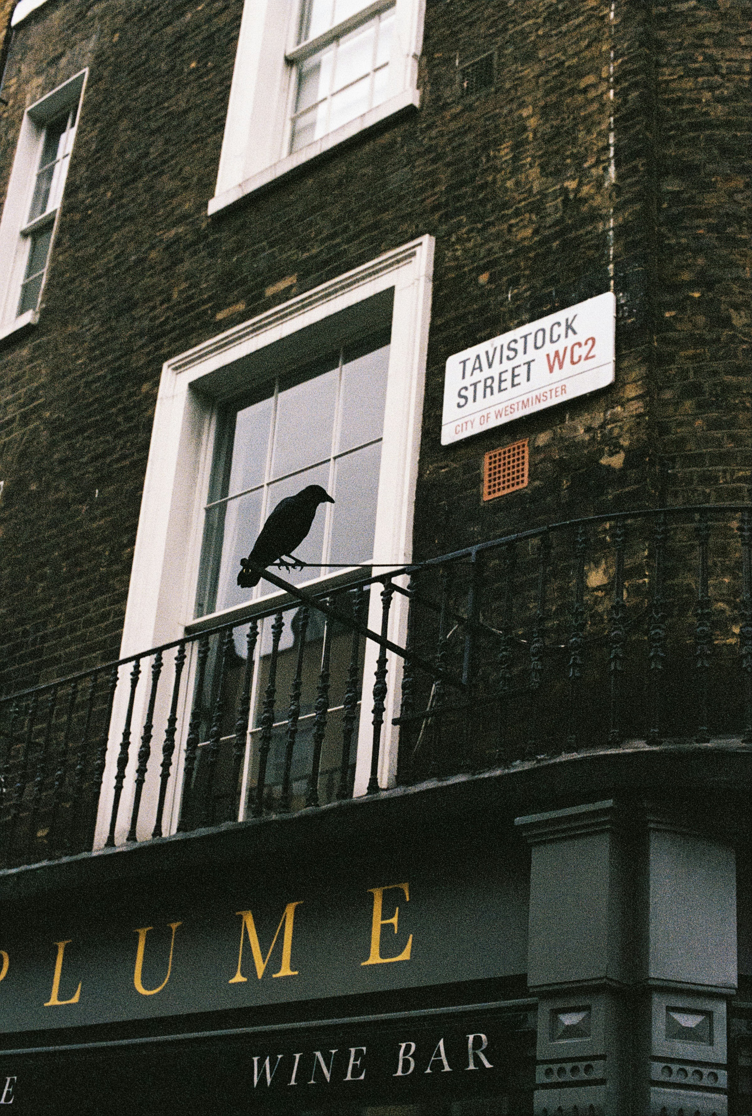 A crow sits on a balcony railing outside a window.