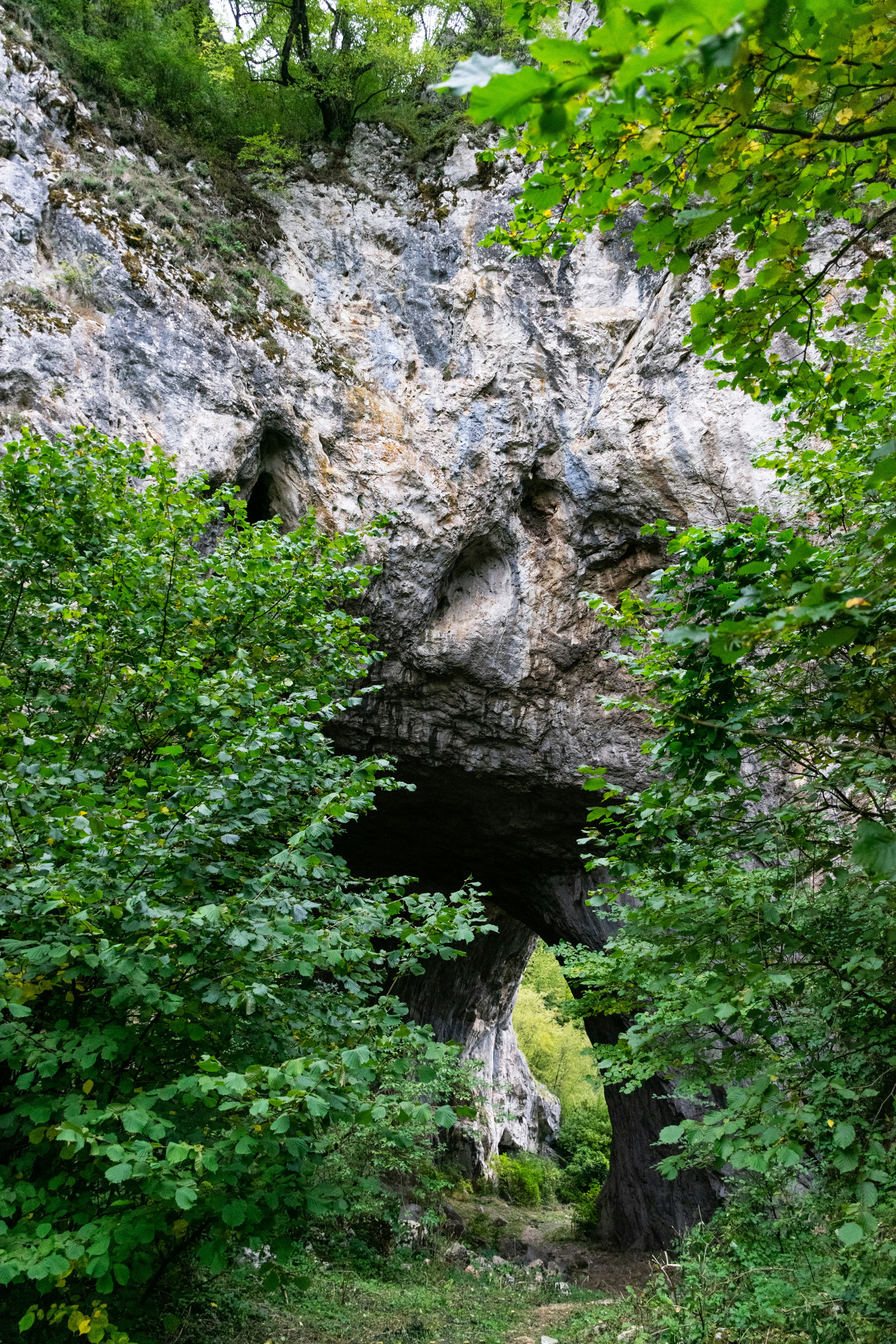 Rocky archway in a lush green forest