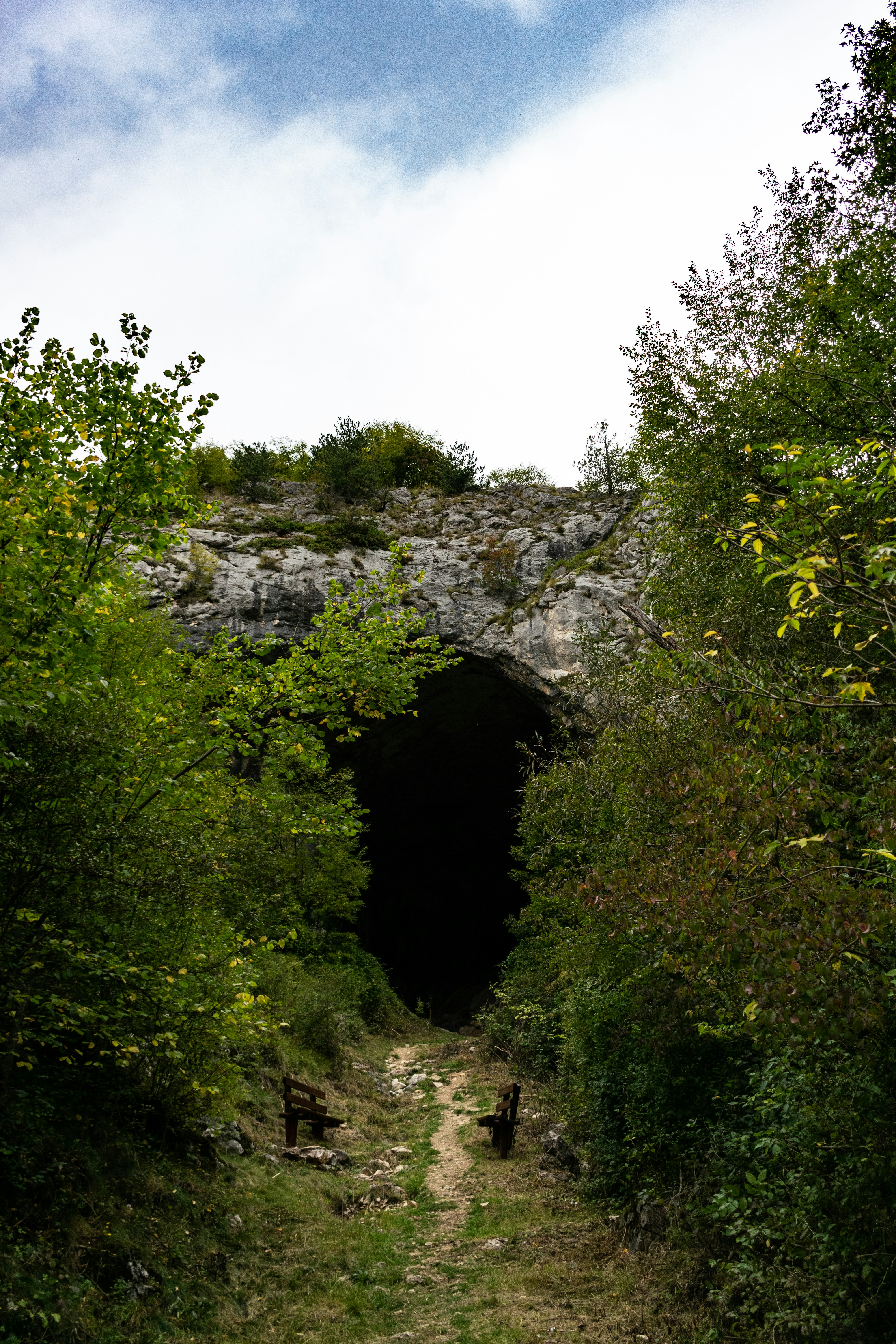Dark cave entrance surrounded by lush green trees