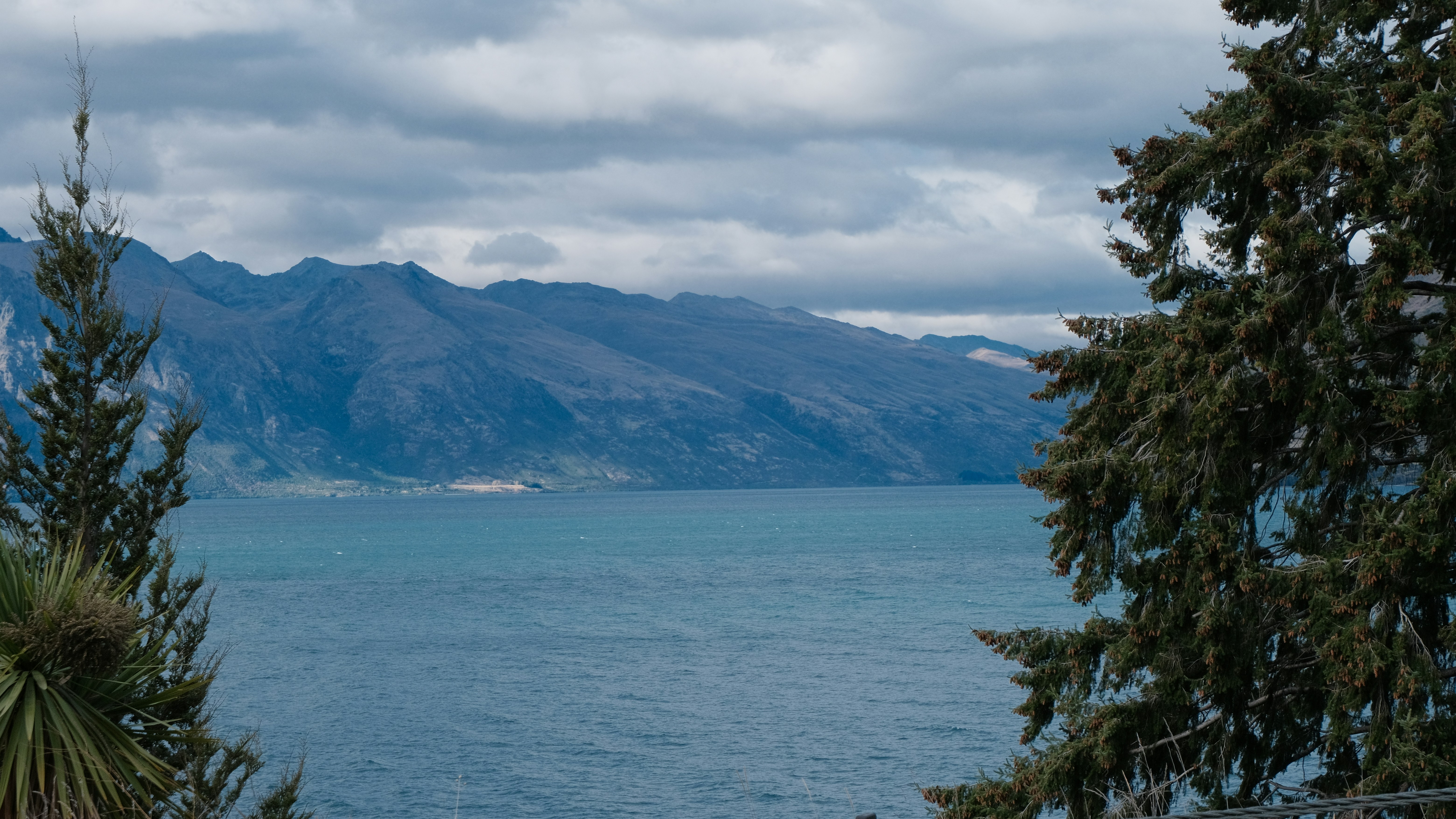 Photo by mimiche1211