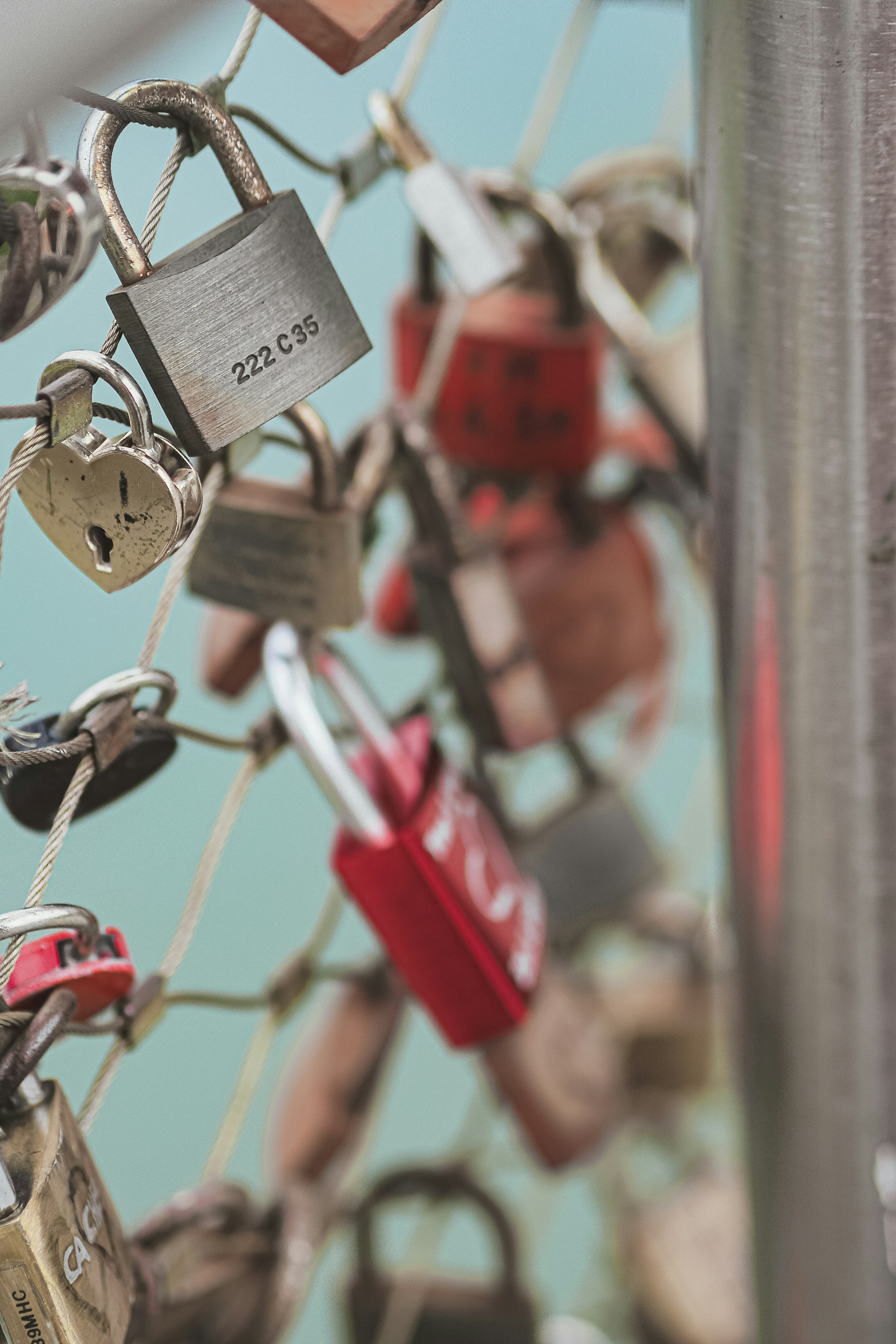 Photo by laurachouette