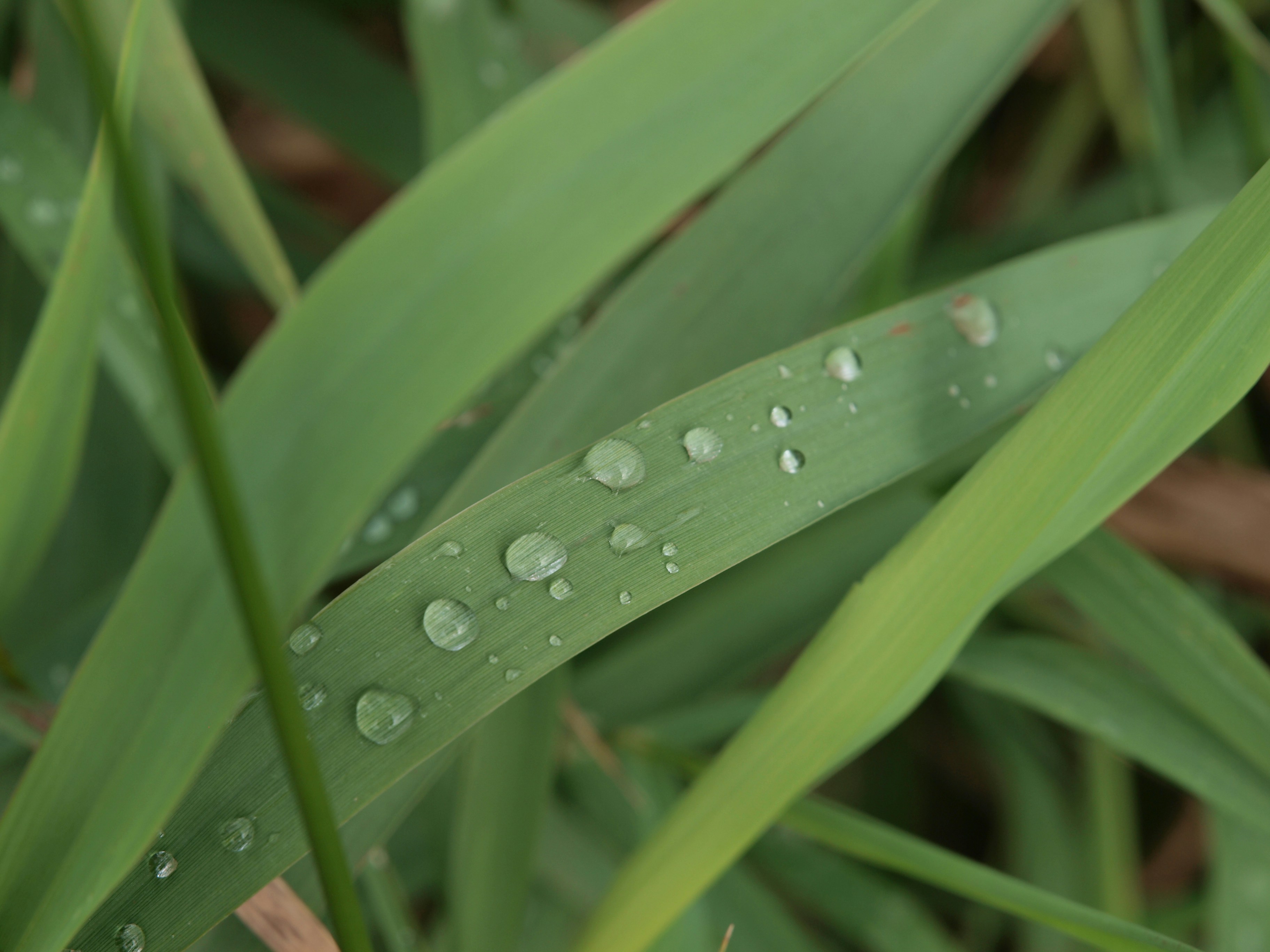 Photo by myworldisblue