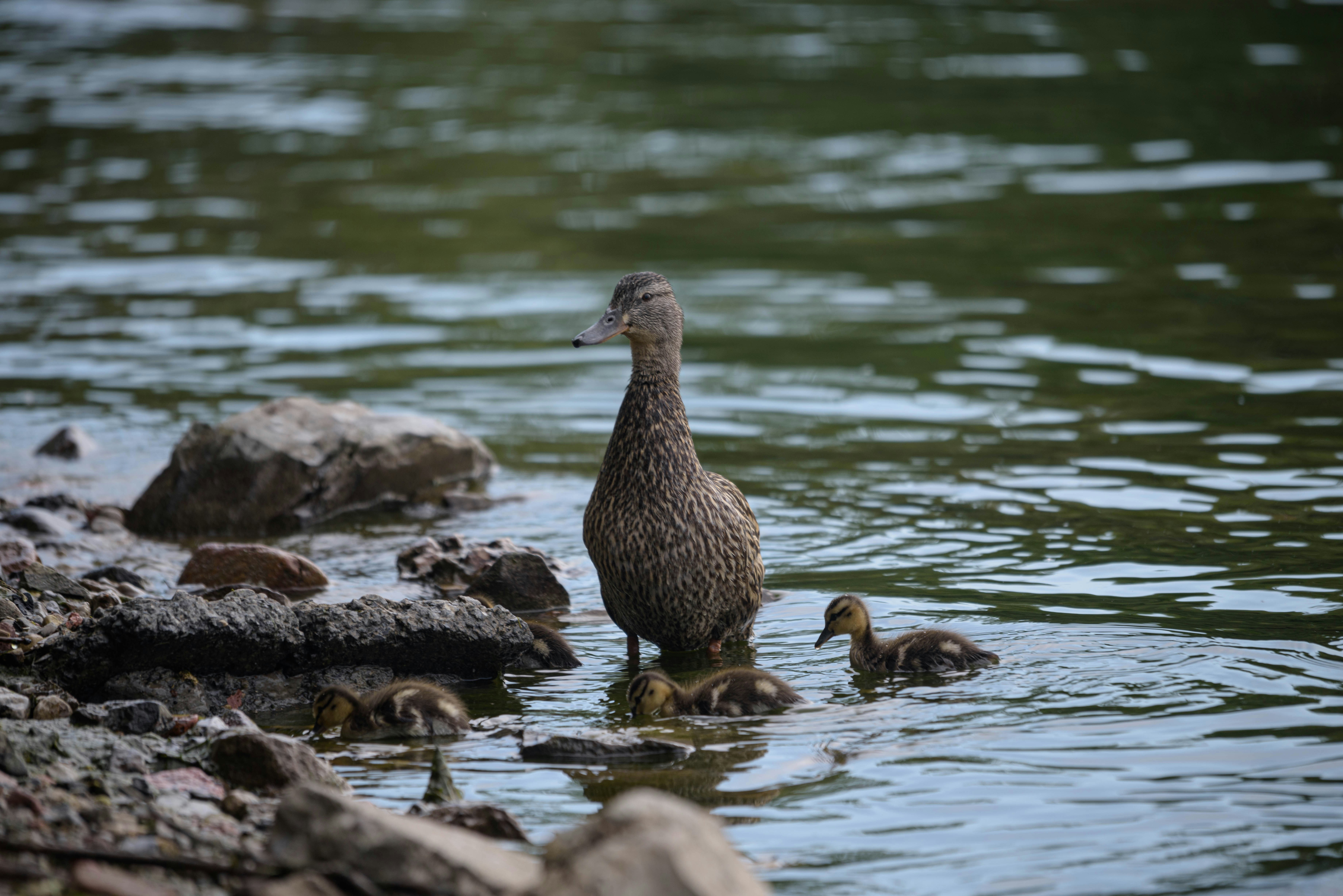 Photo by justynazielinska654