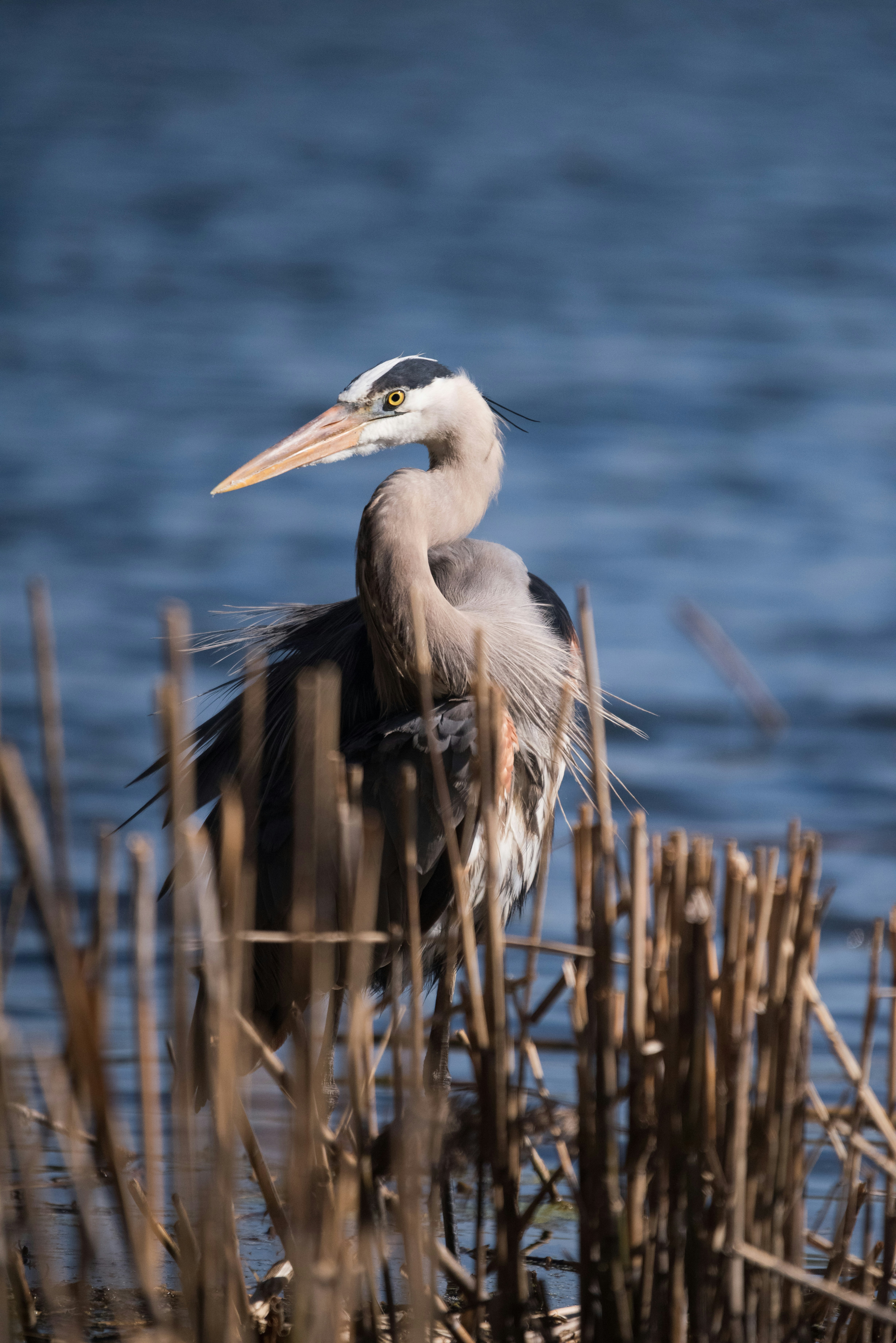 Photo by justynazielinska654