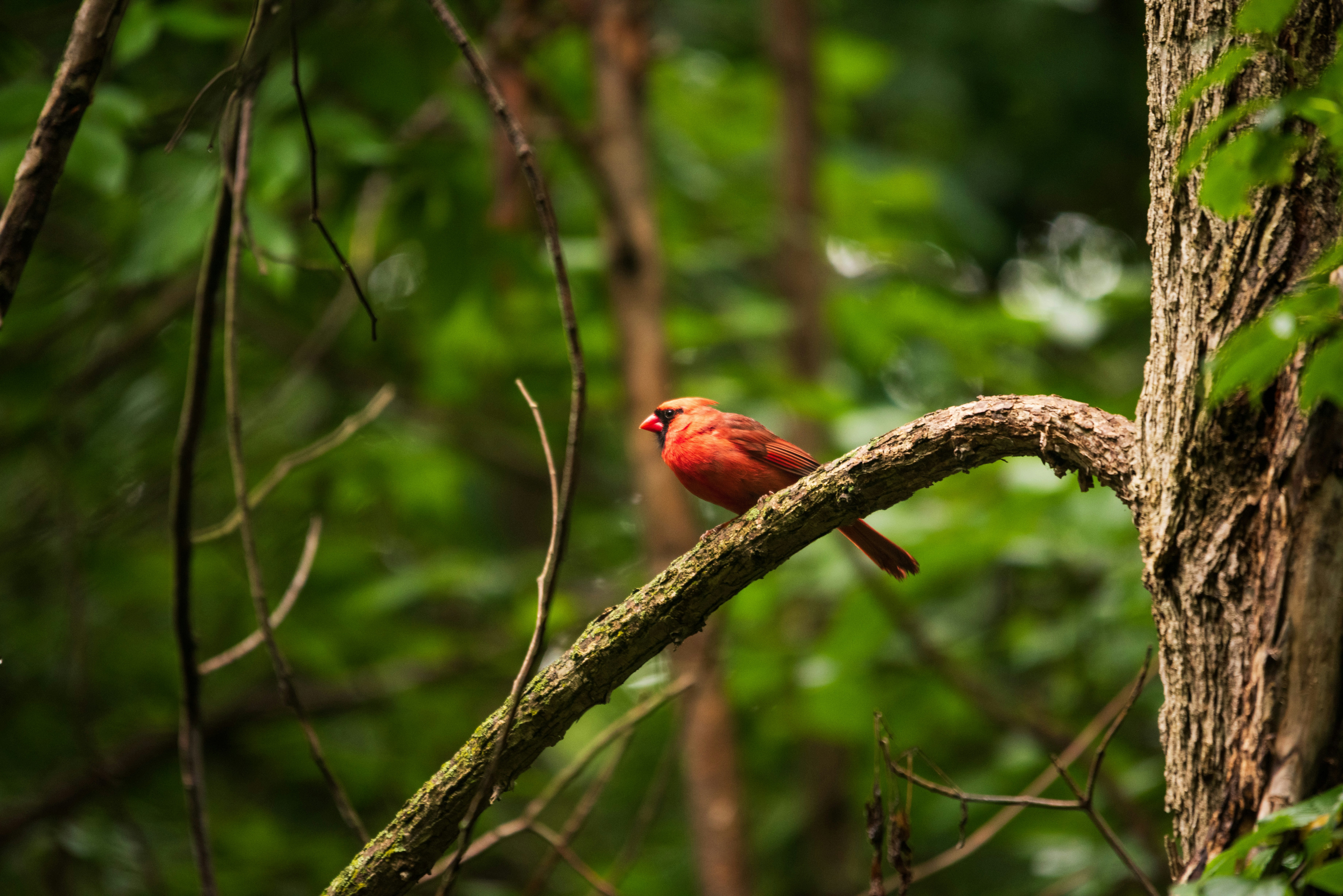 Photo by justynazielinska654