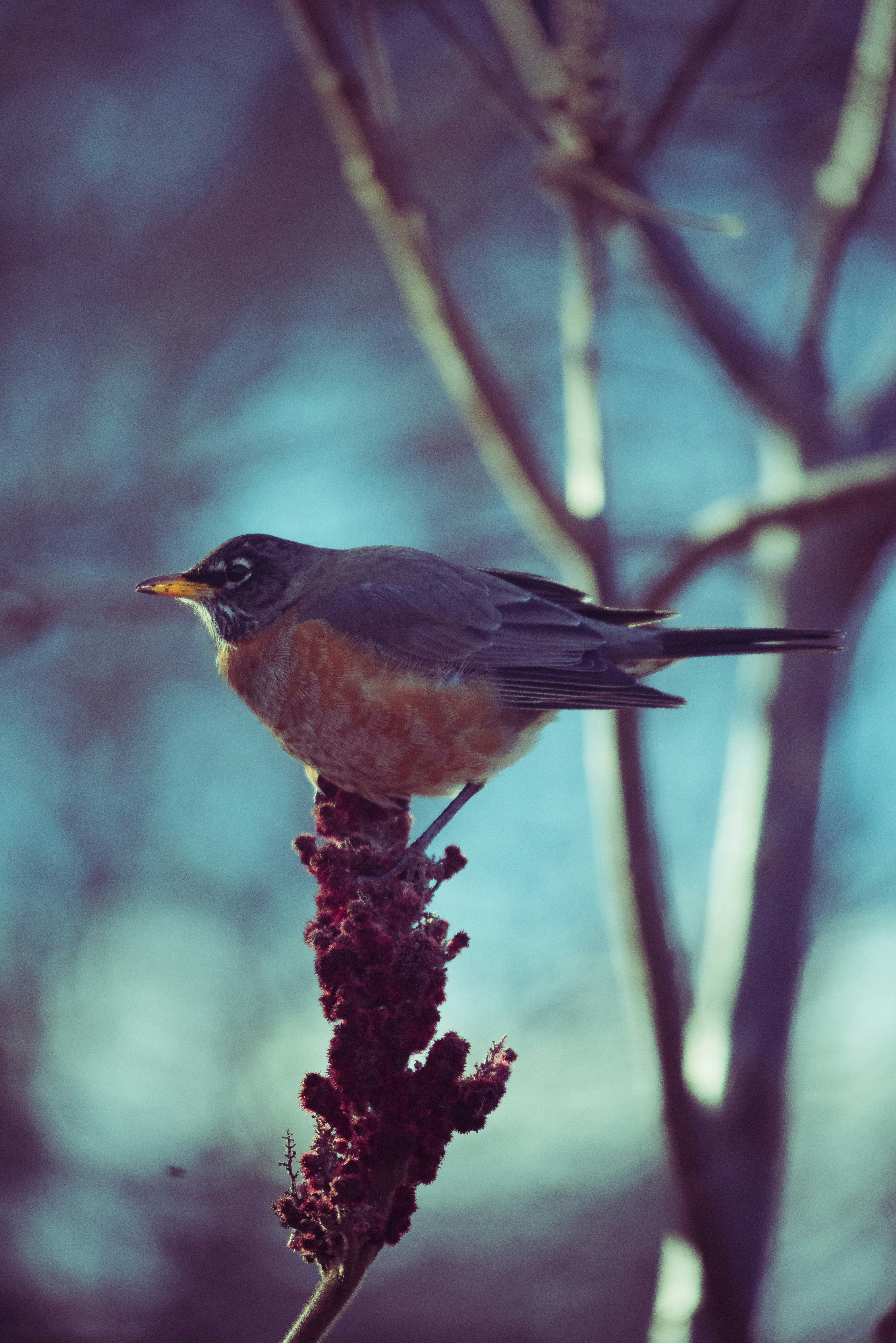 Photo by justynazielinska654