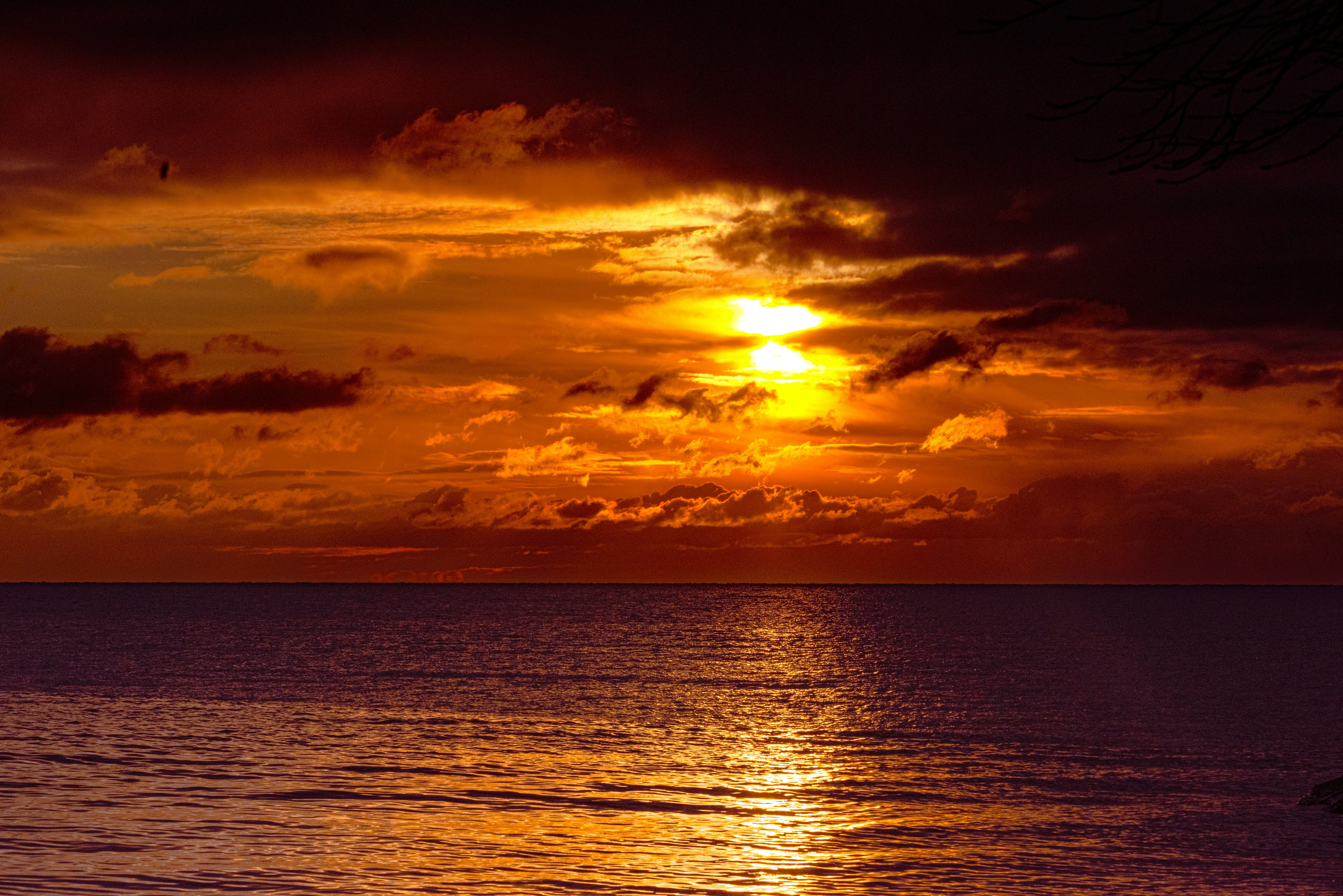 Photo by justynazielinska654