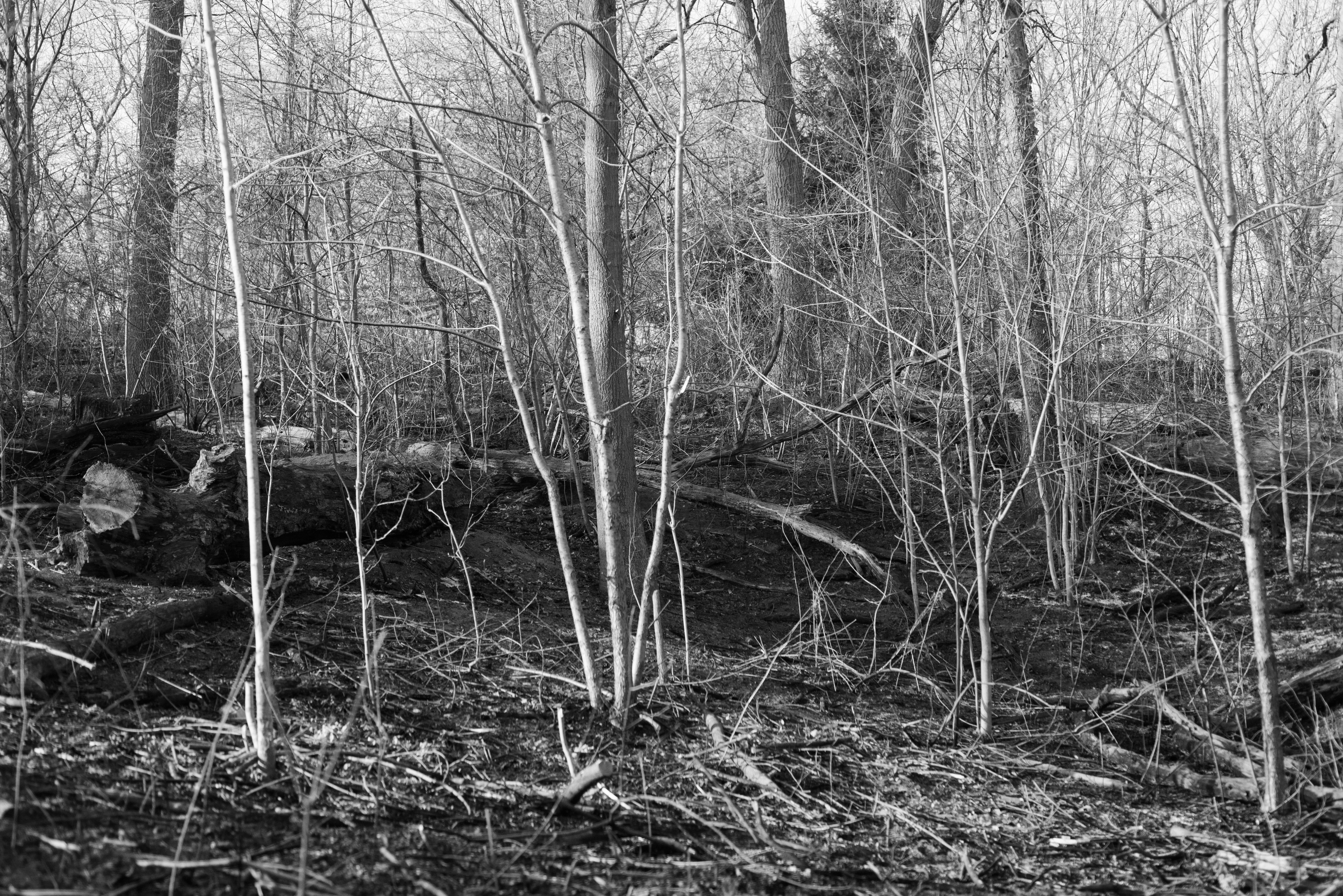 Photo by justynazielinska654