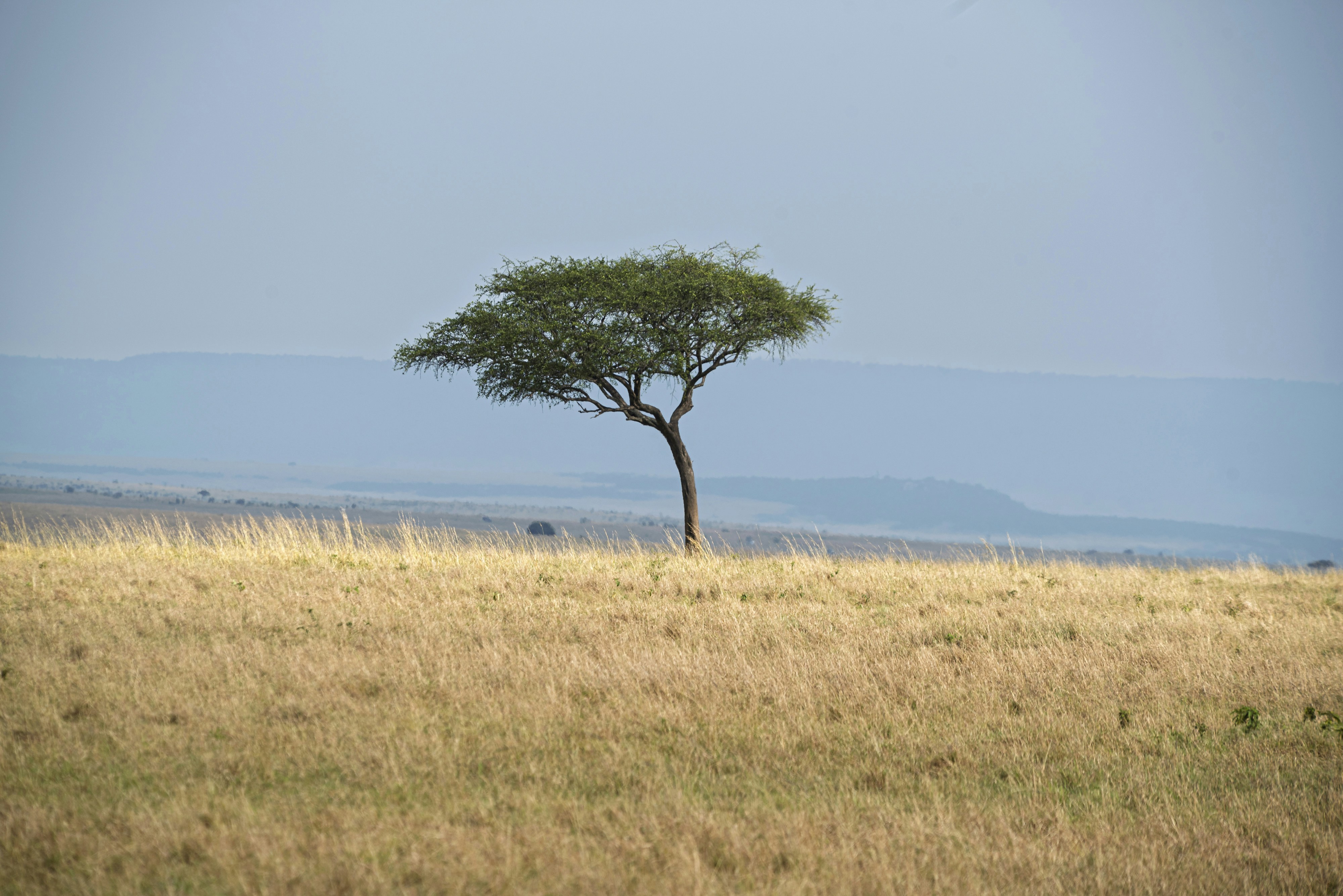 Serengeti-Ngorongoro Conservation Area