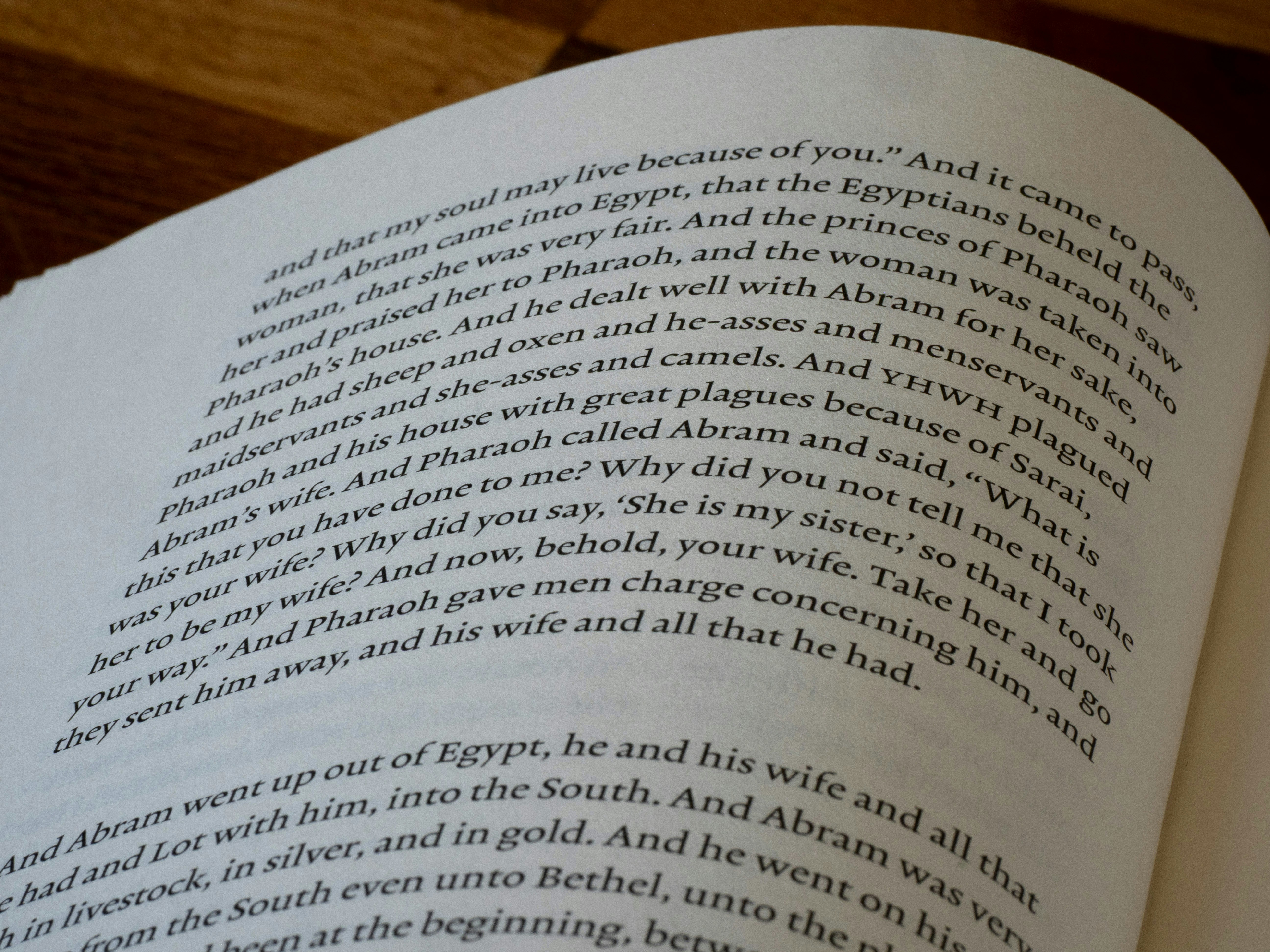 Photo by brett_jordan