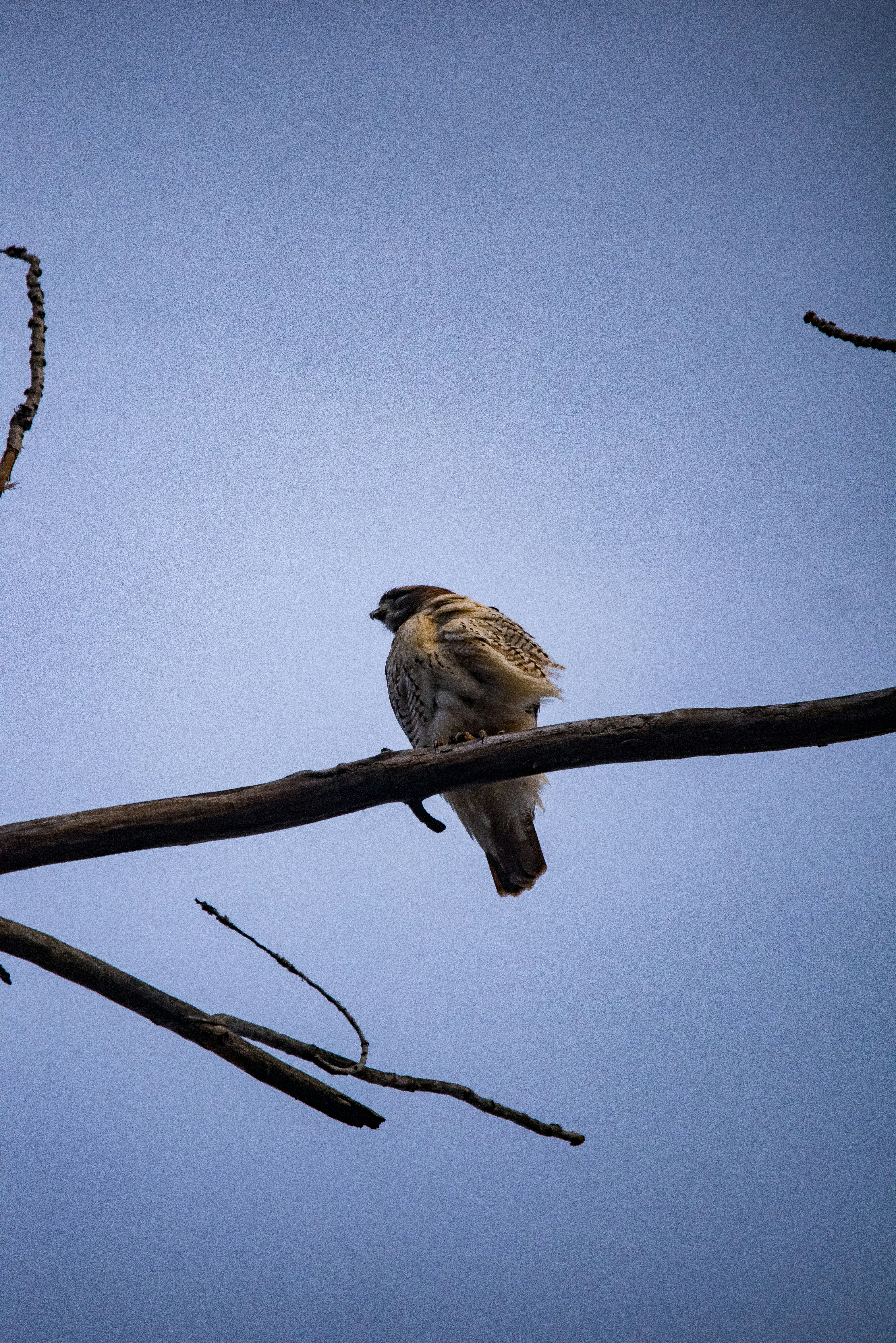 Photo by justynazielinska654