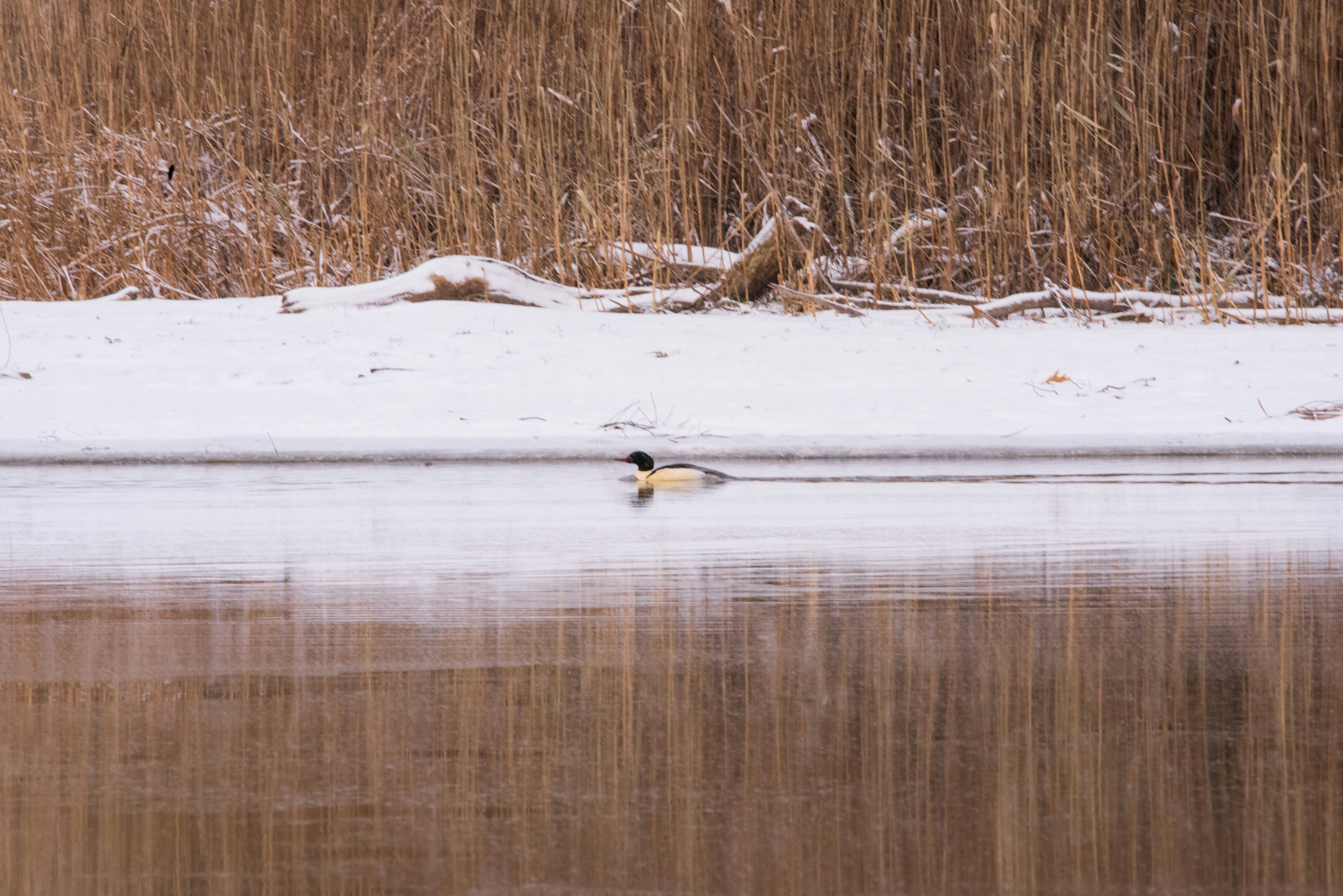 Photo by justynazielinska654