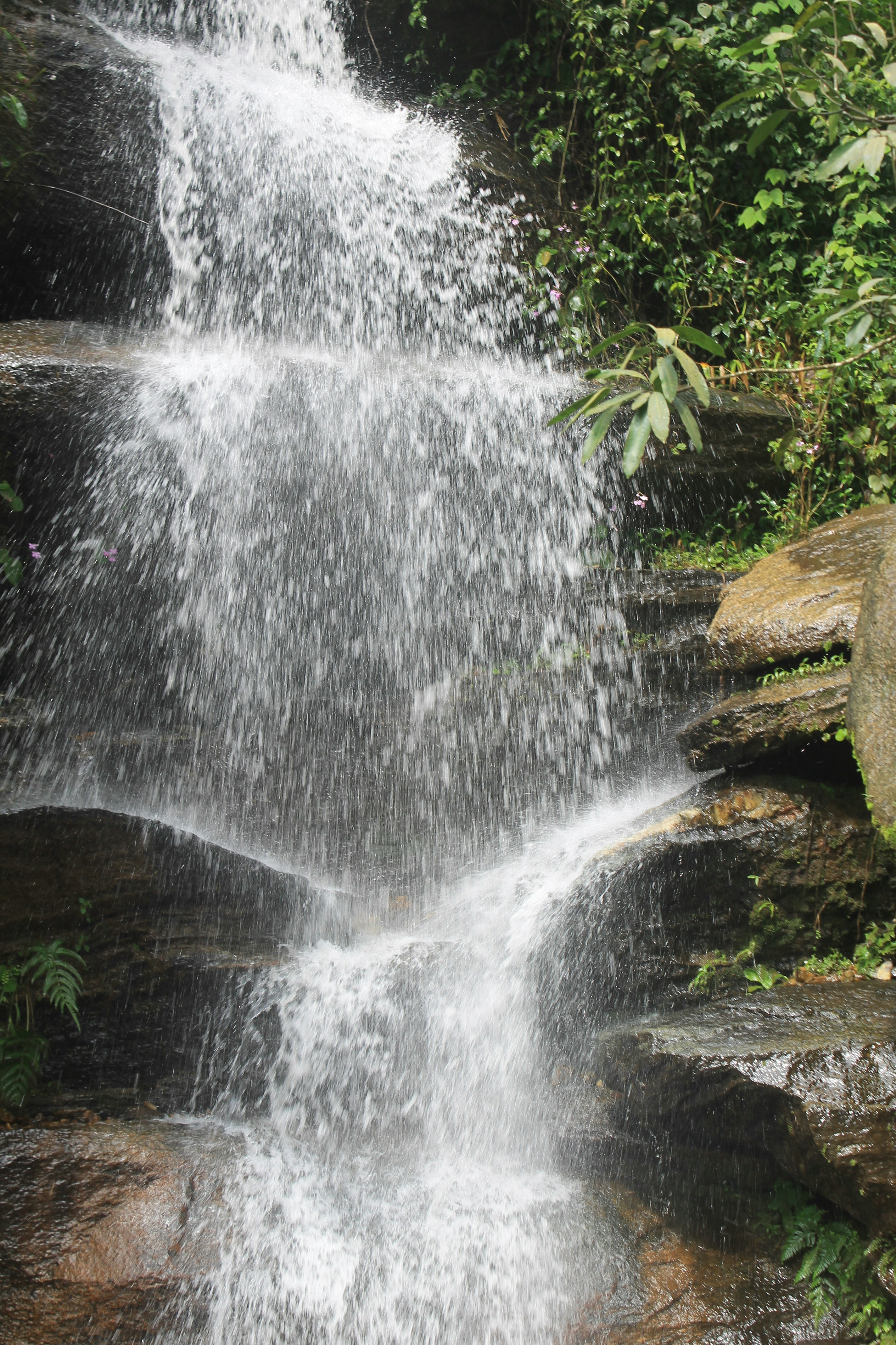 Photo by varun_venugopal