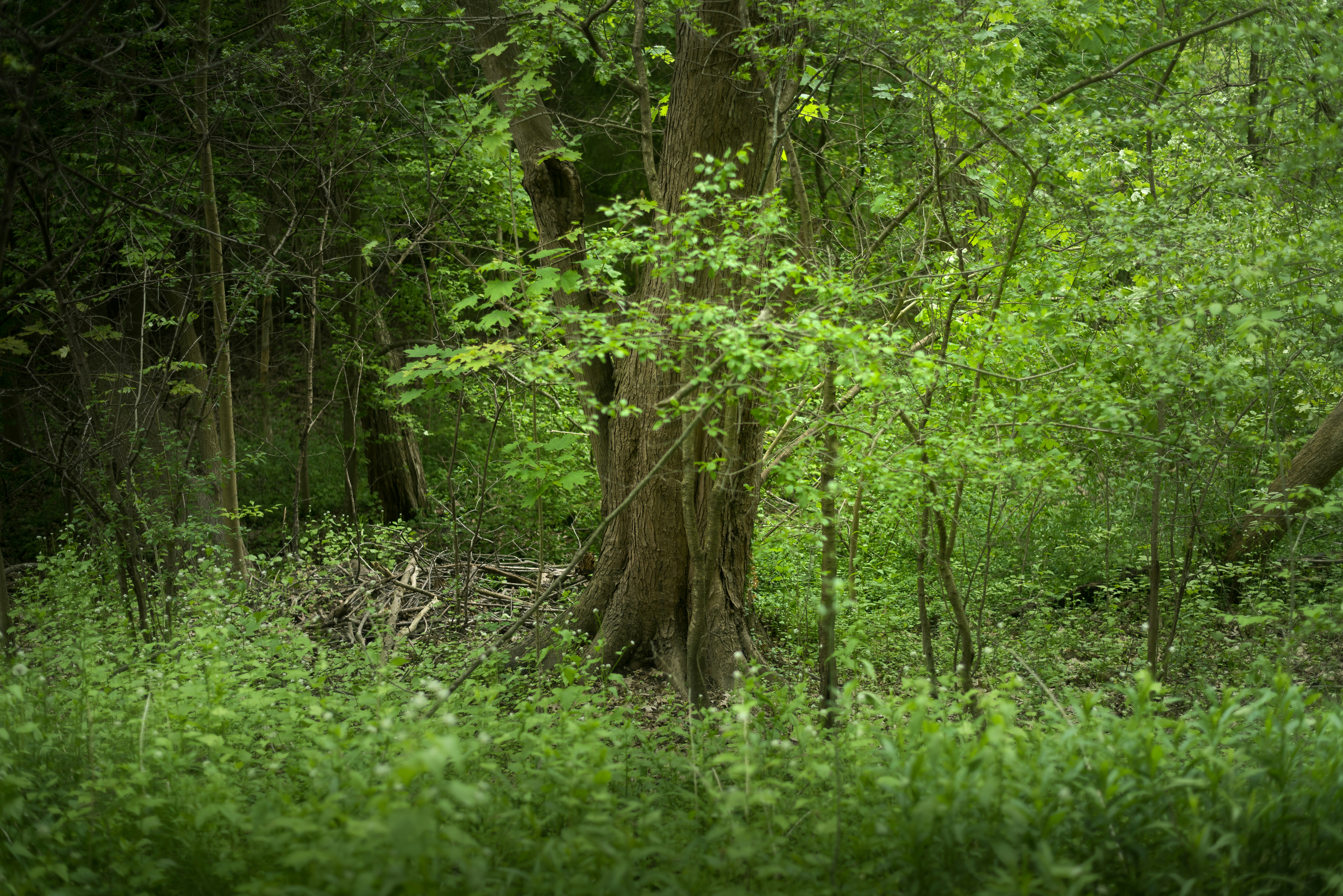 Photo by justynazielinska654