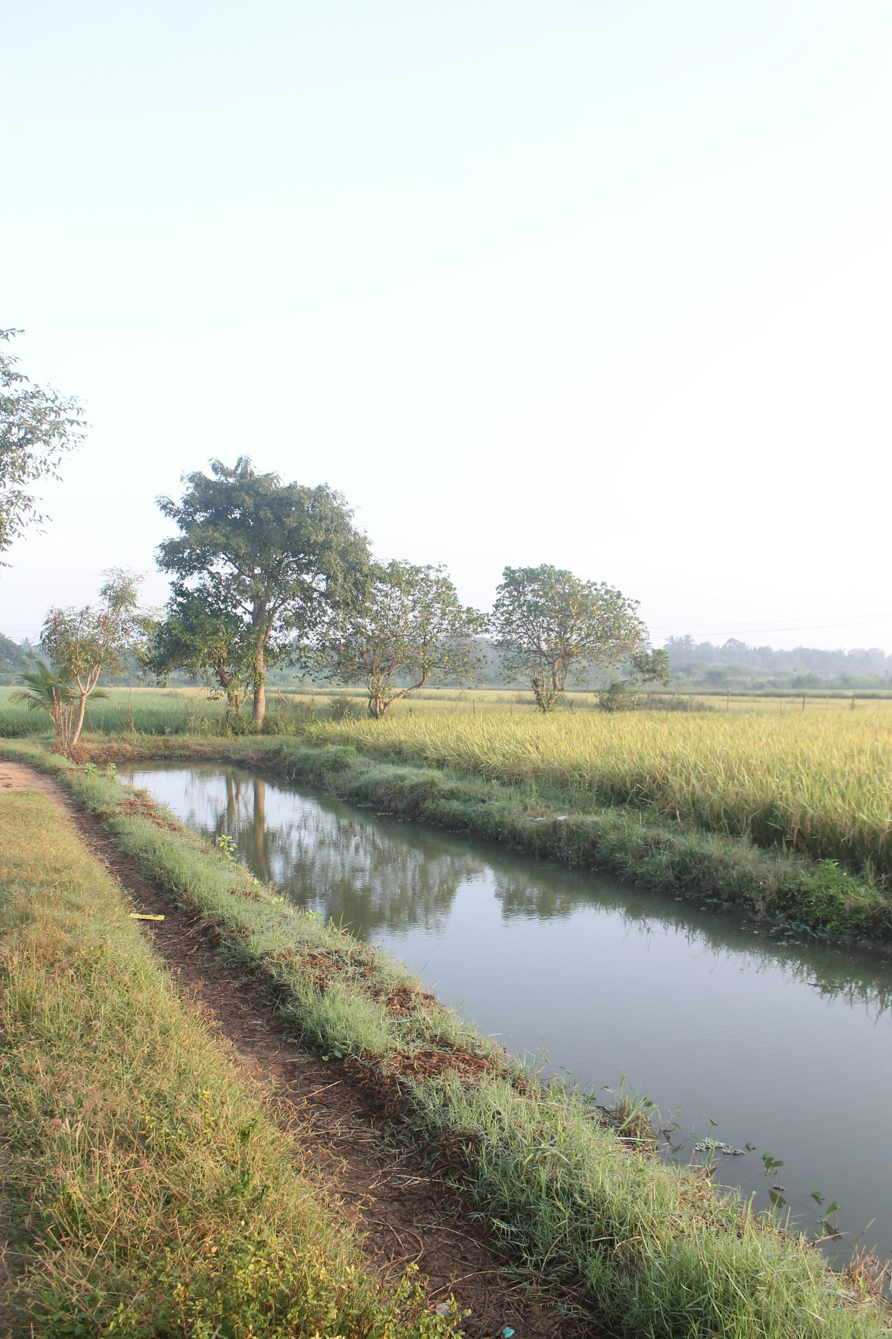 Photo by varun_venugopal