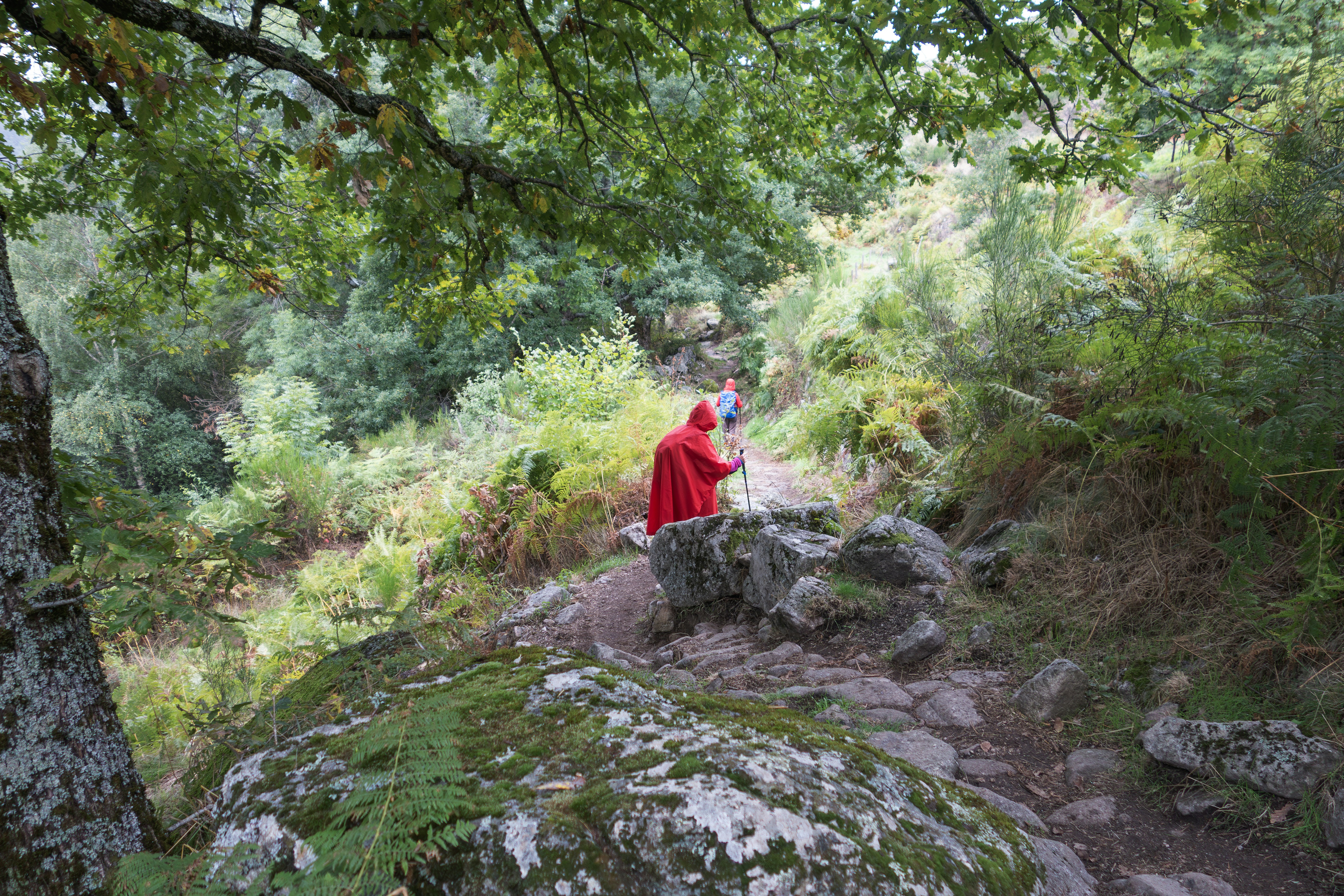 계단 내려갈 때마다 '욱신', 무릎 연골 다 닳았다는 증거입니다 관련 이미지