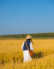 Woman in straw hat walks through golden rice field.
