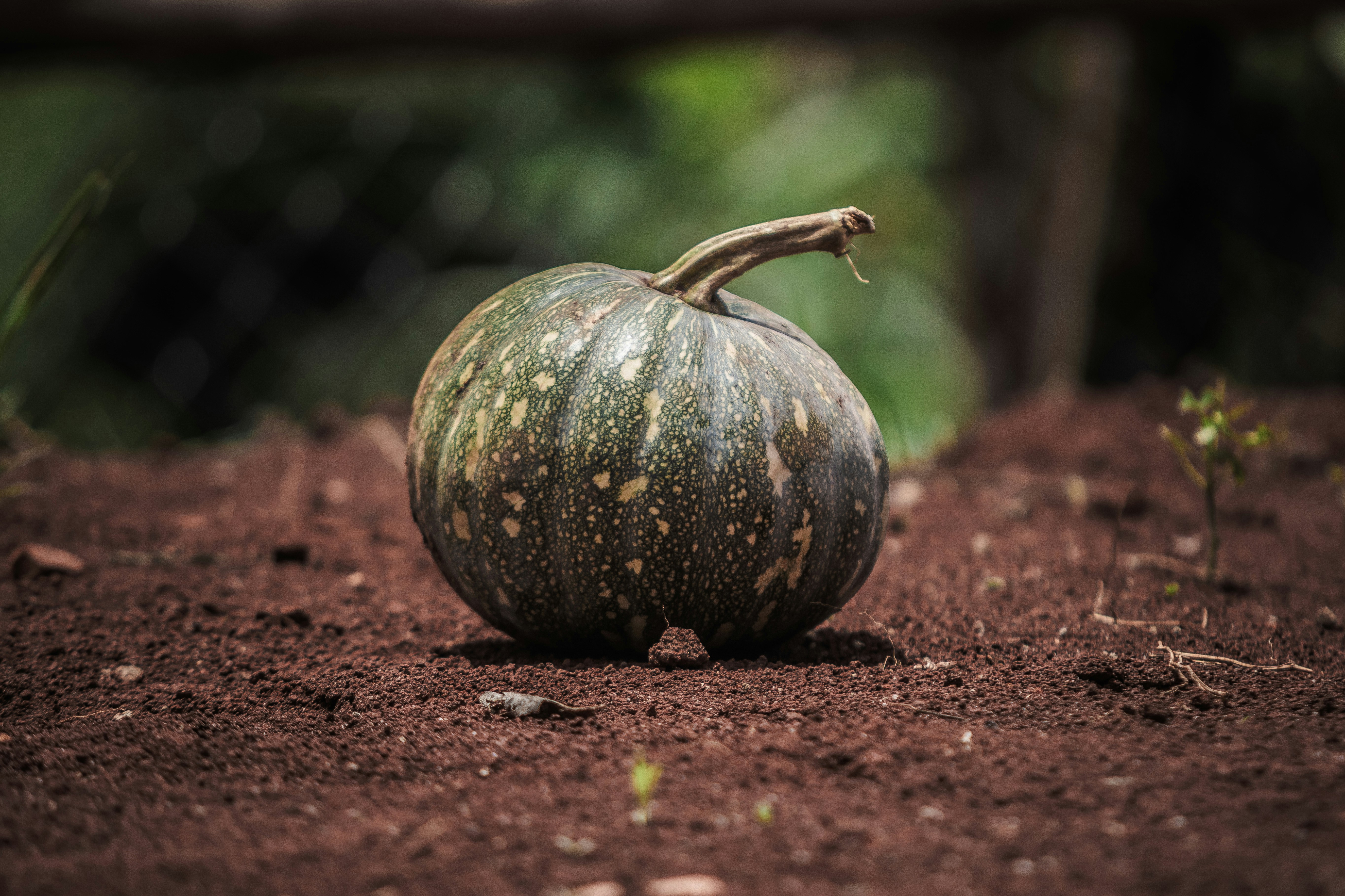 Photo by starkie_pics