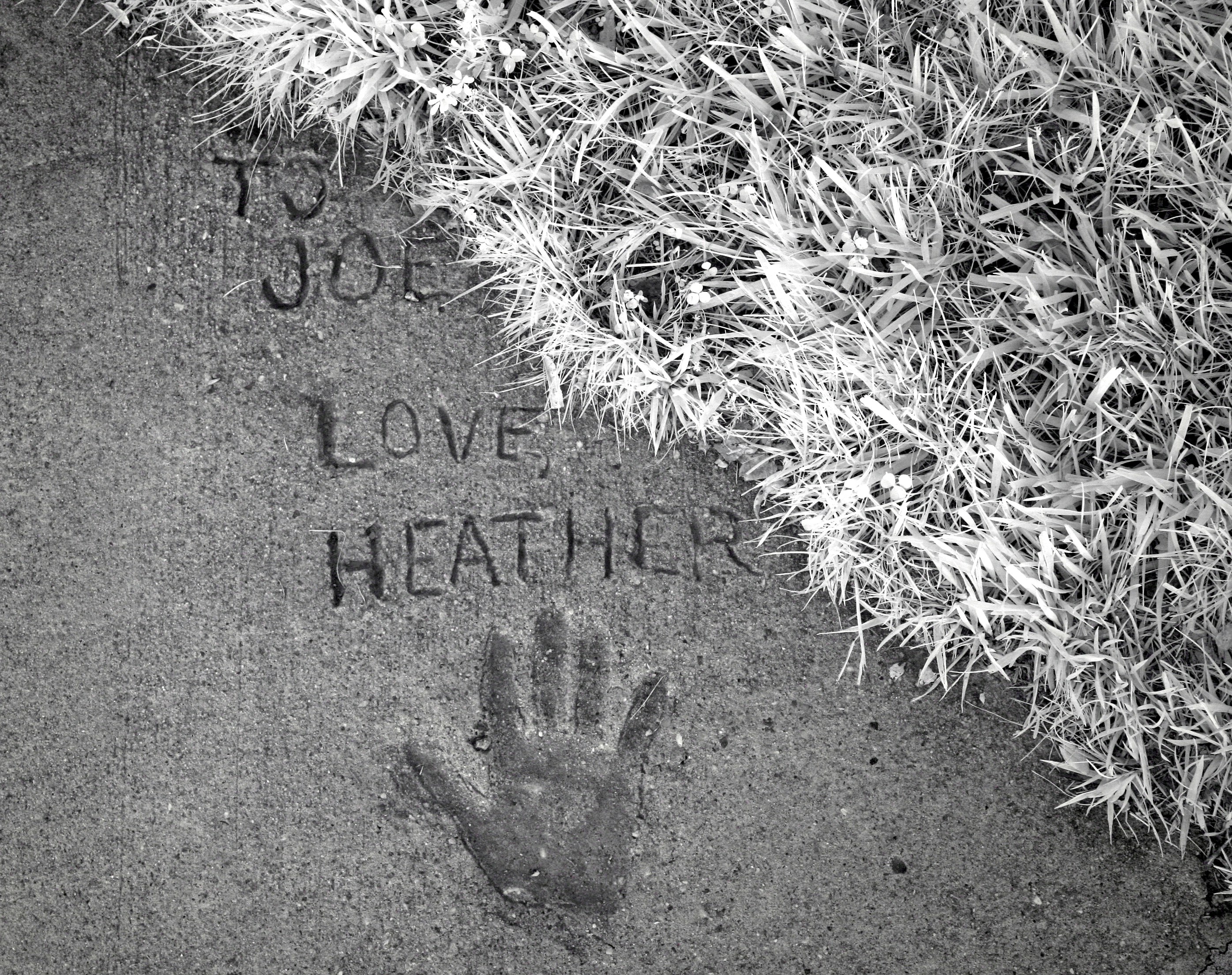 Best Heartfelt Dear December Quotes to Heal, Love & Hope