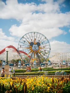 Ferris wheel with mickey mouse face at amusement park