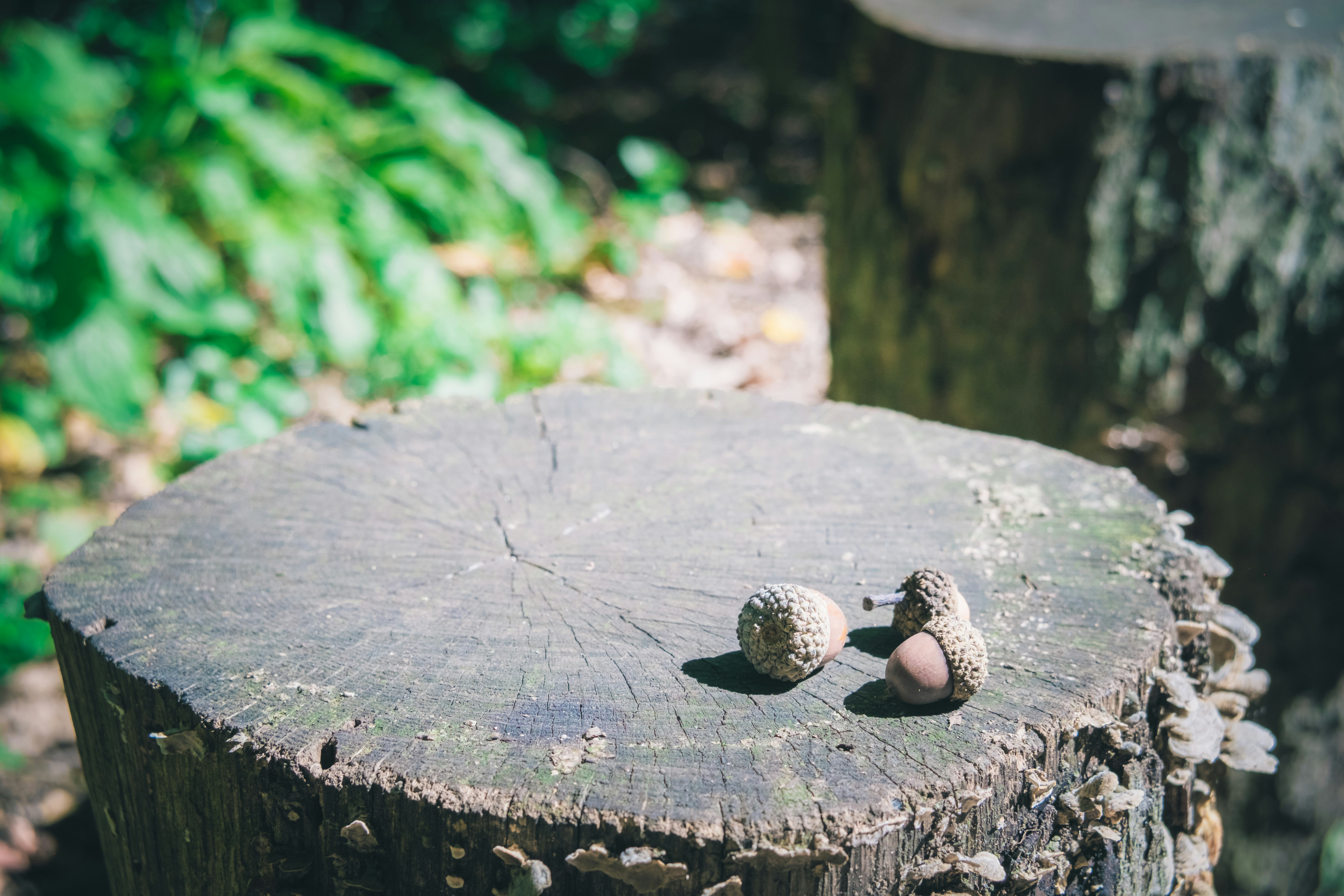 Photo by magicunsplash