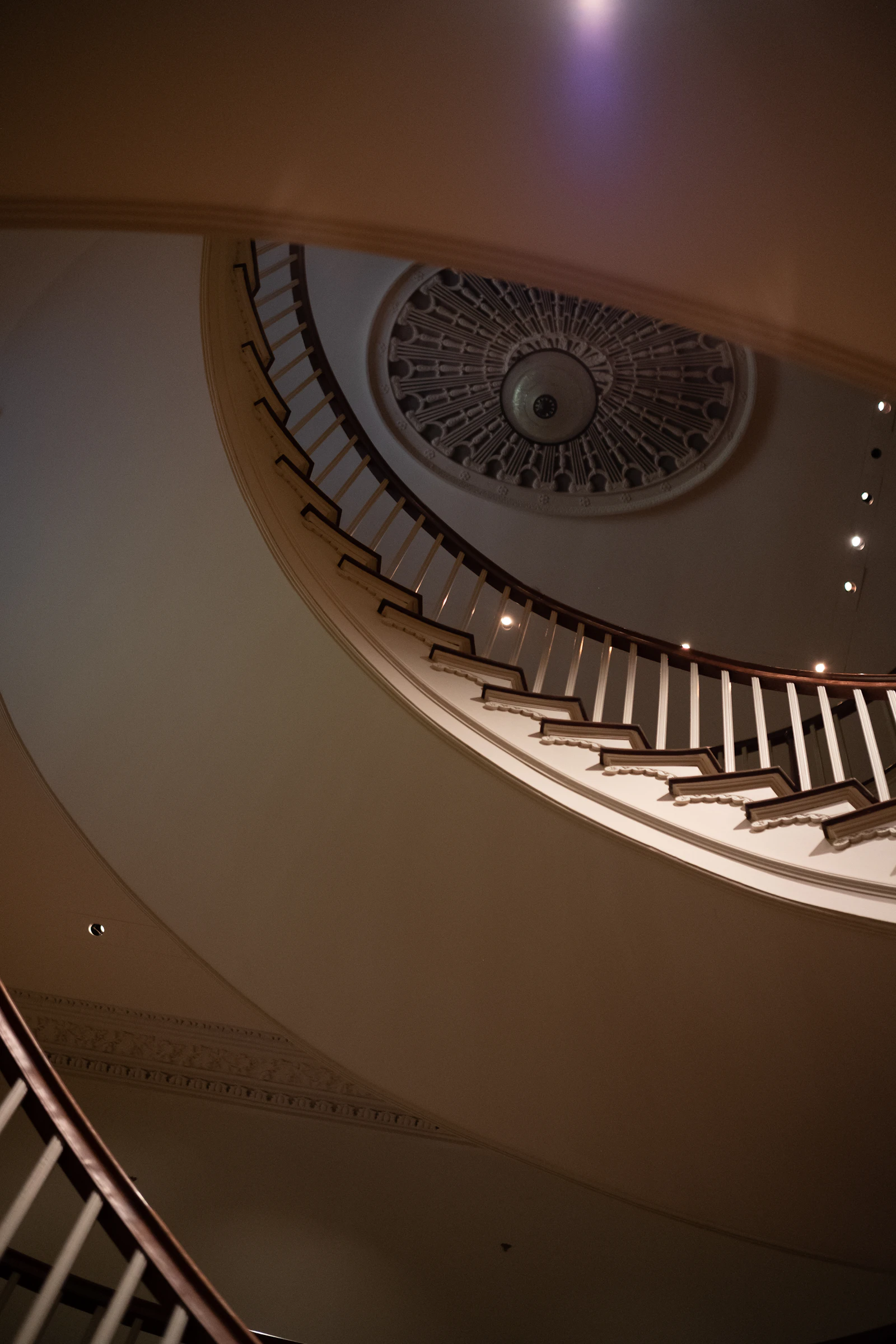 Elegant spiral staircase with ornate ceiling detail