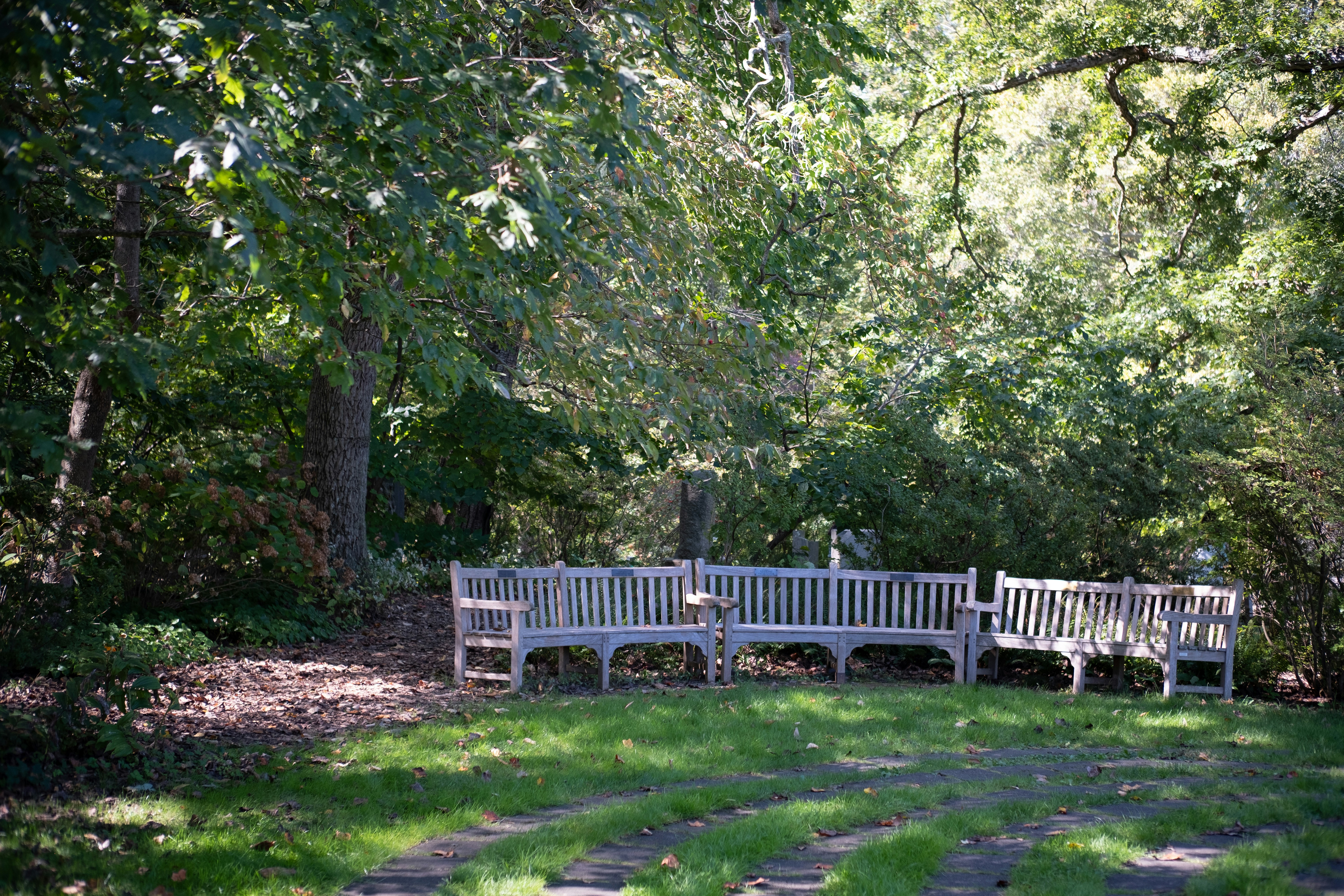 Photo by magicunsplash