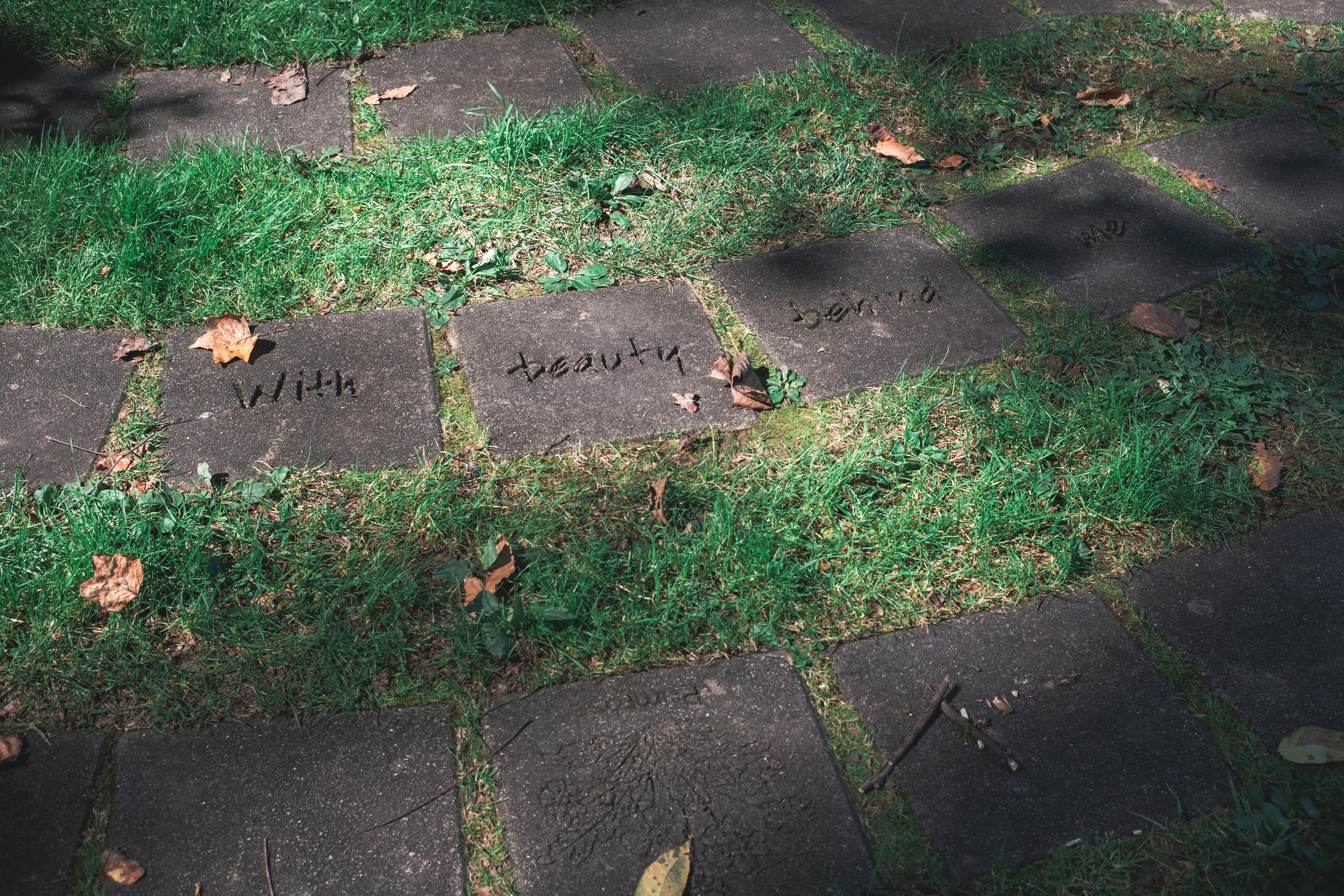 草や落ち葉が生い茂る四角い石道。