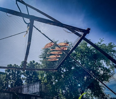 Fish drying on a rack under a blue sky.