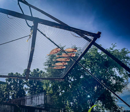 Fish drying on a rack under a blue sky.