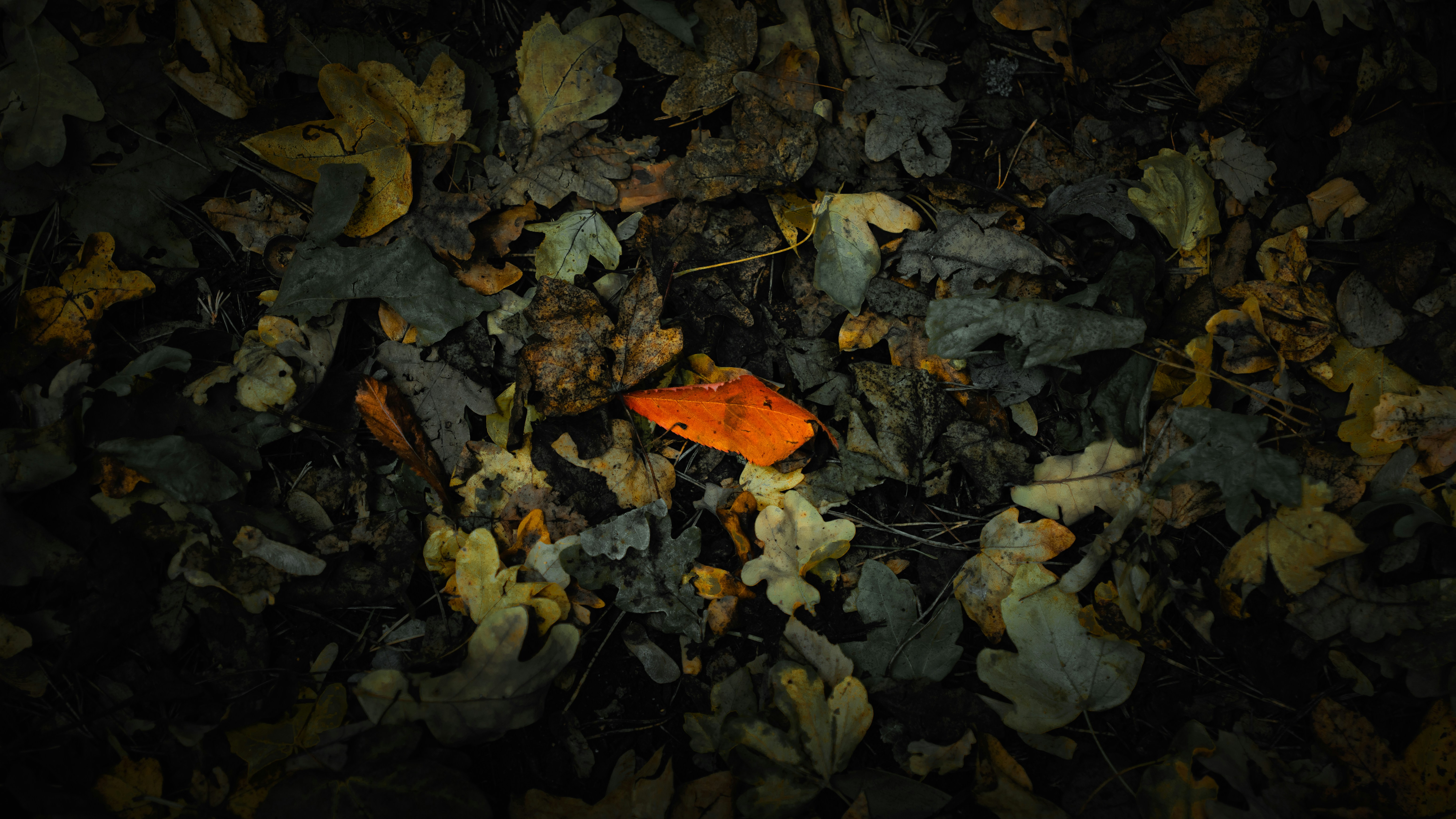 Trivia nights in Colchester, United Kingdom