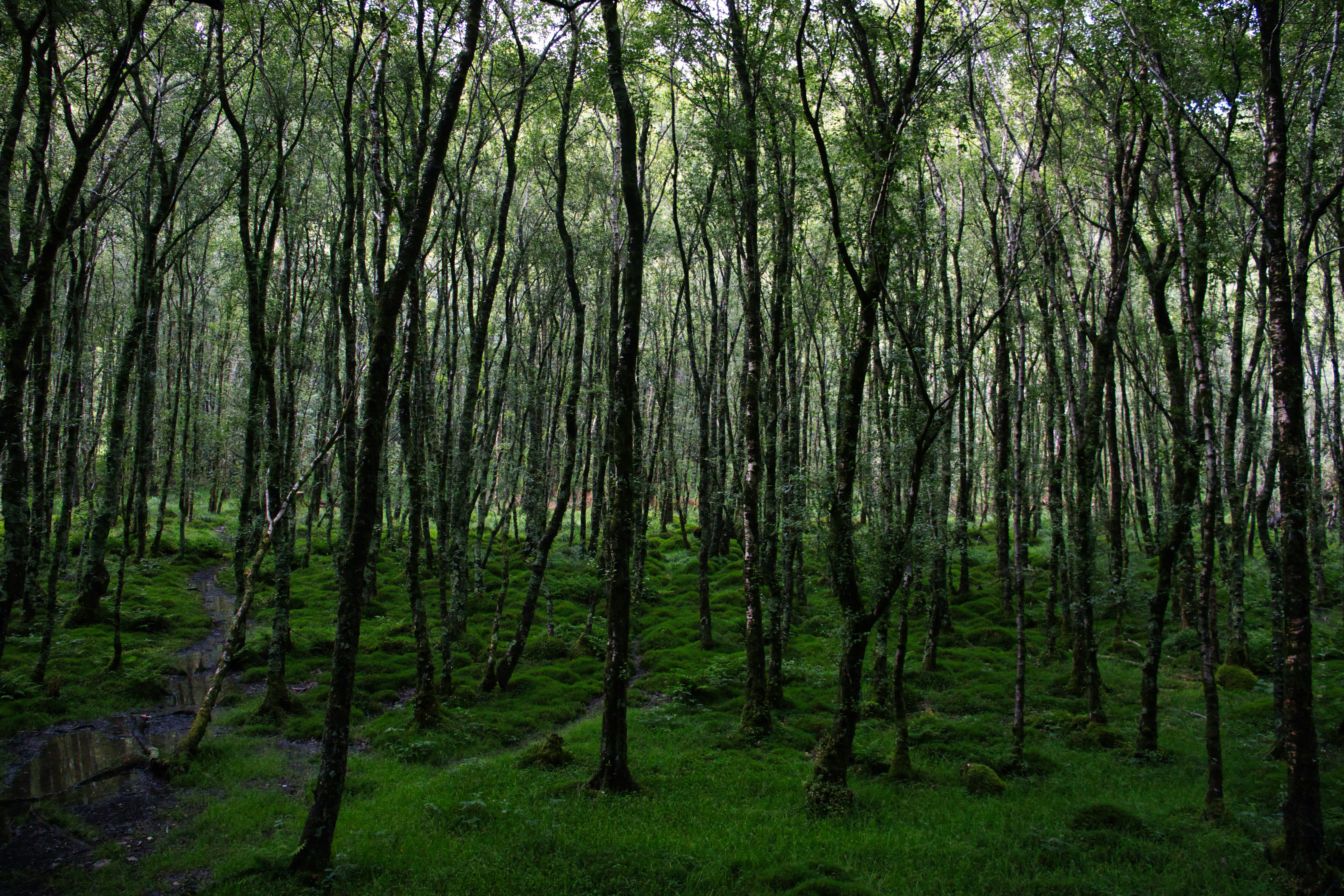 Photo by paws_and_prints