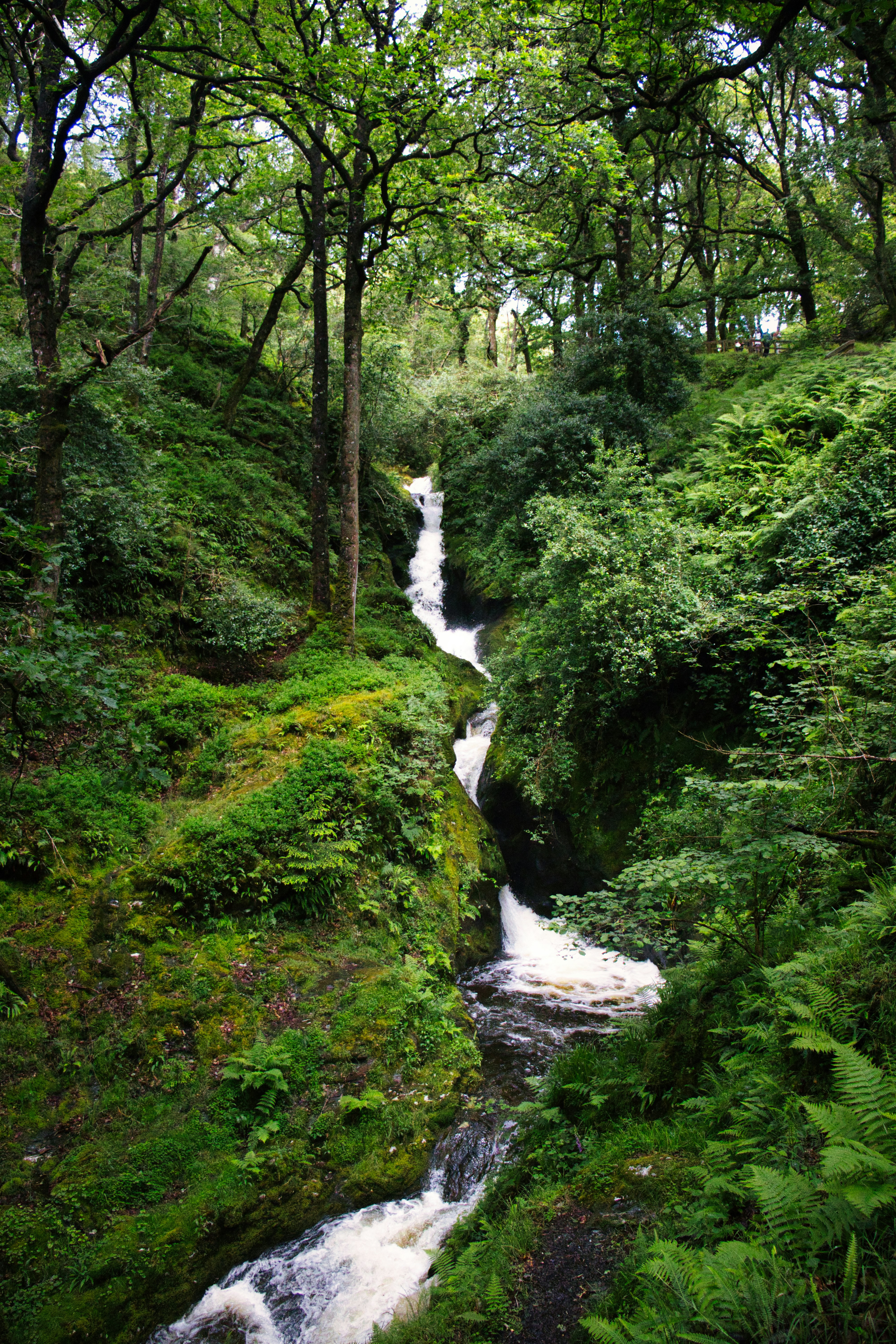 Photo by paws_and_prints