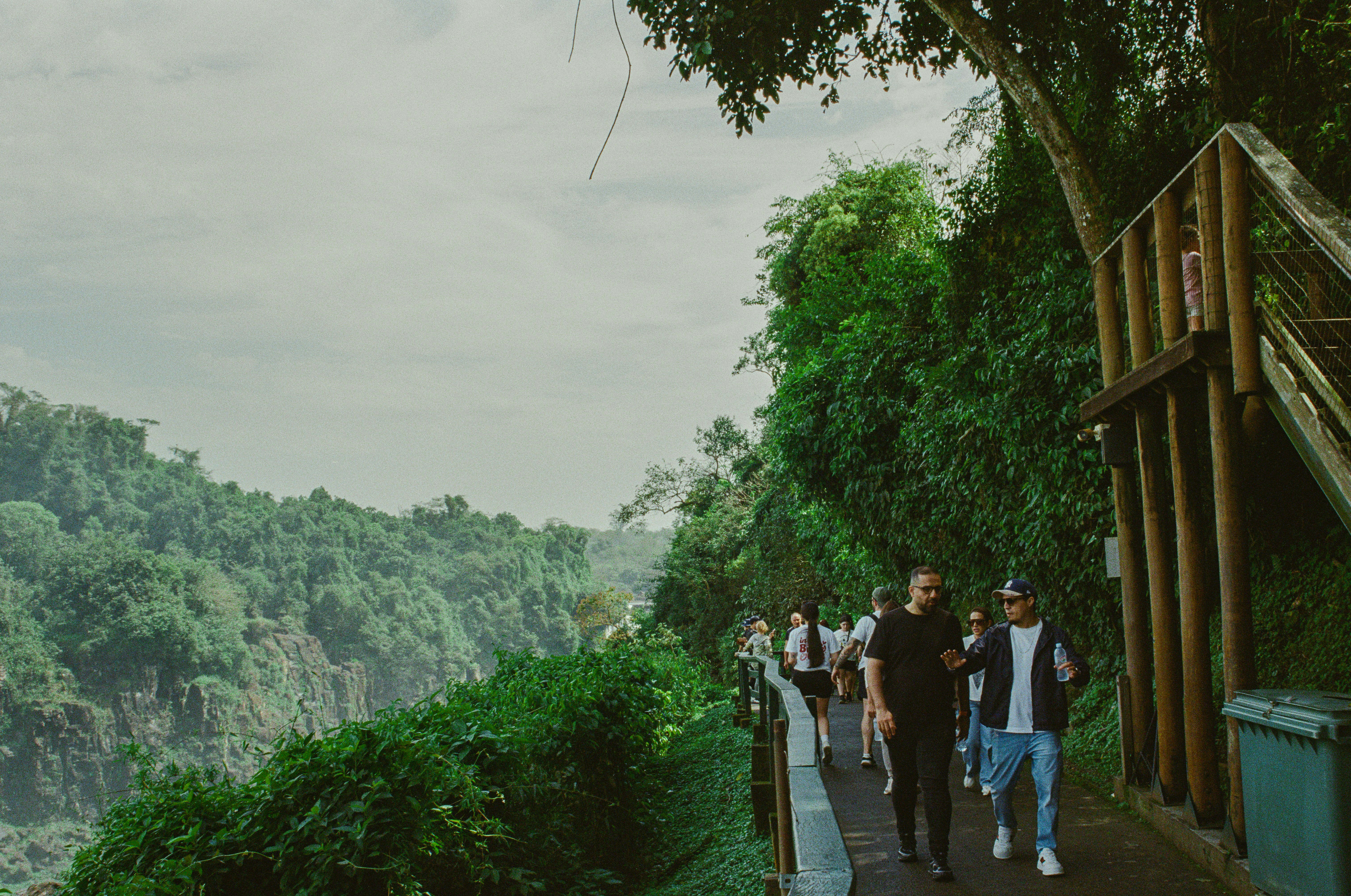 People walking on a path beside lush green forest.