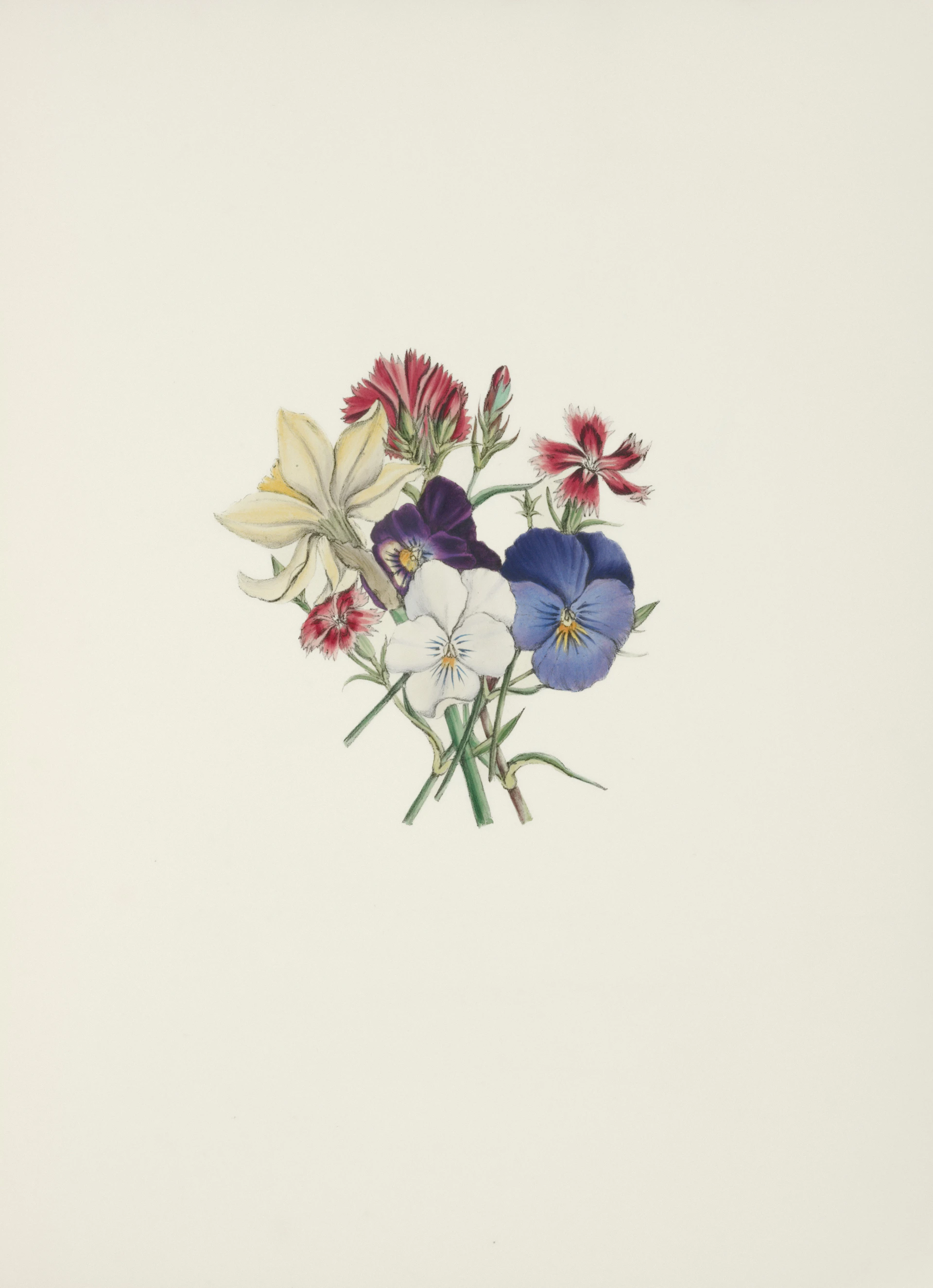 A delicate bouquet of colorful wildflowers on a white background