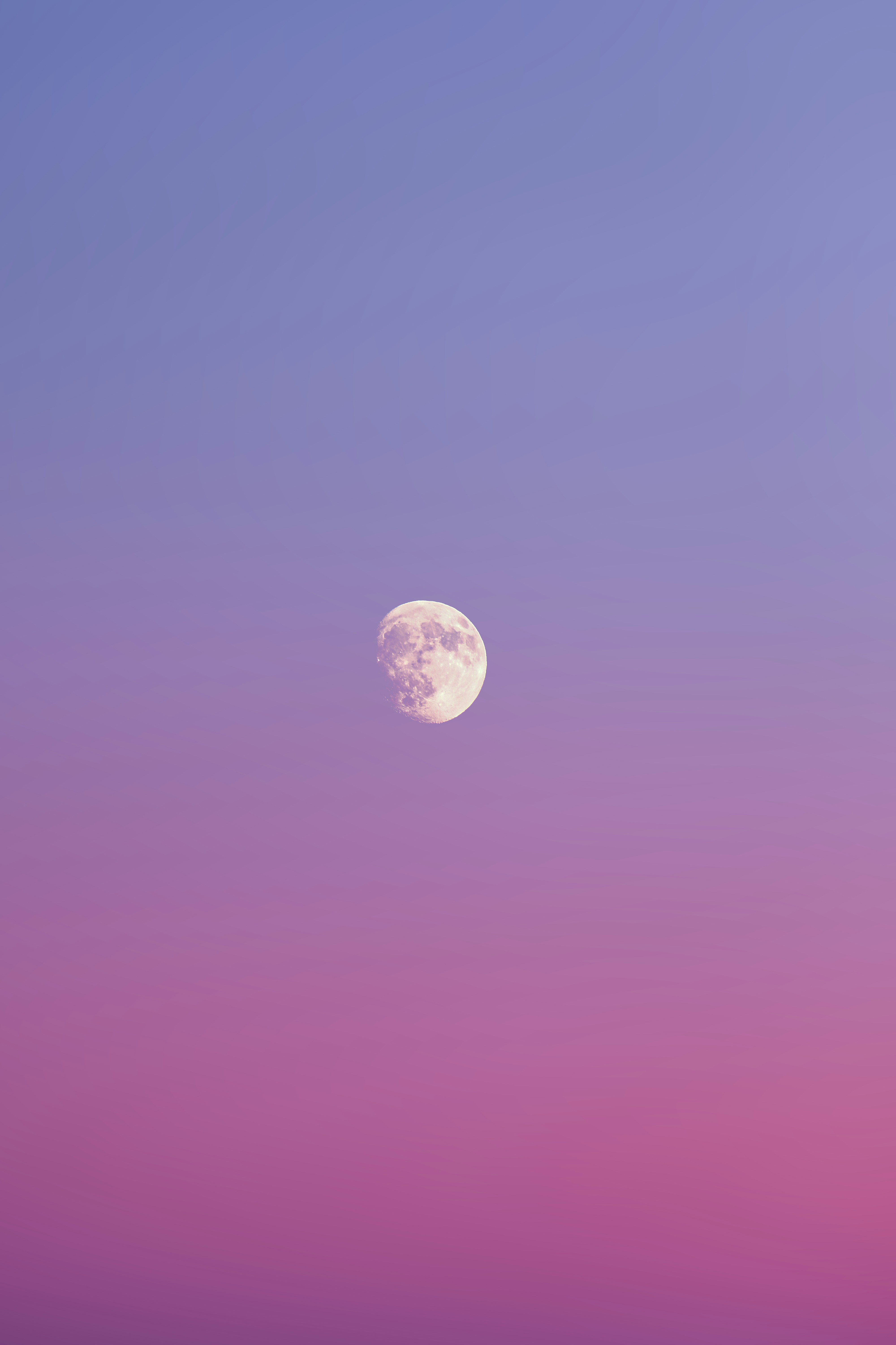 The moon is visible in a gradient sky.