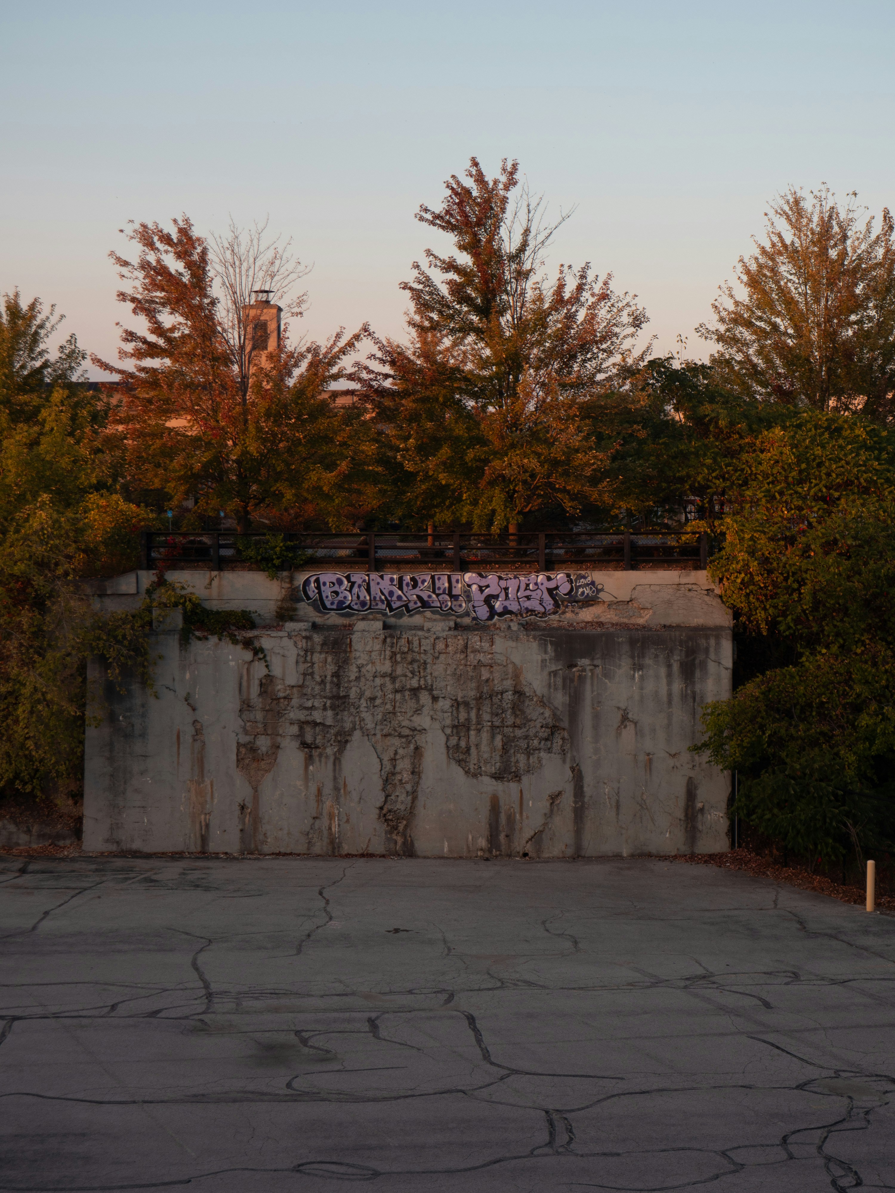 Graffiti en una pared de concreto con árboles detrás