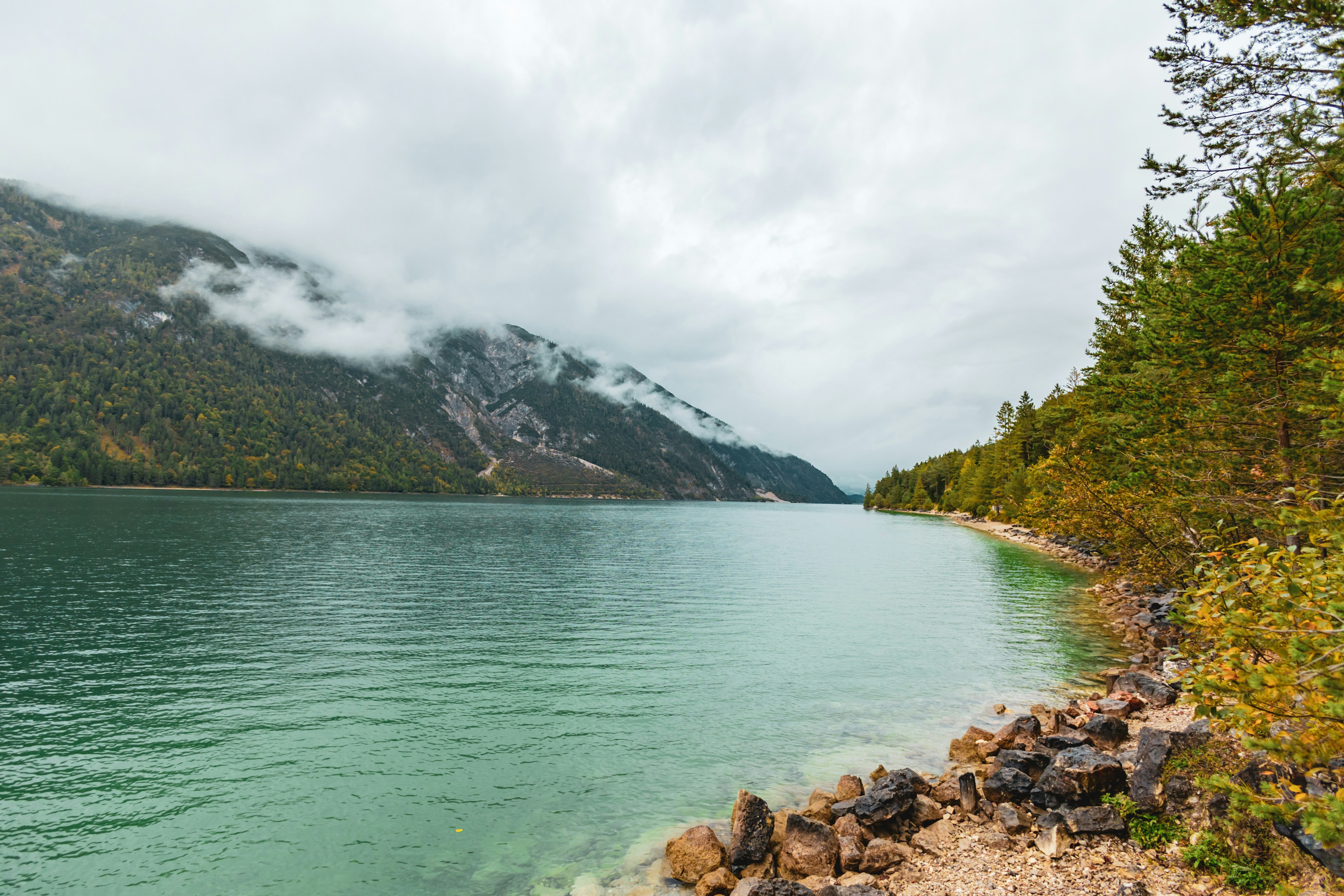 Photo by gnomezgrave