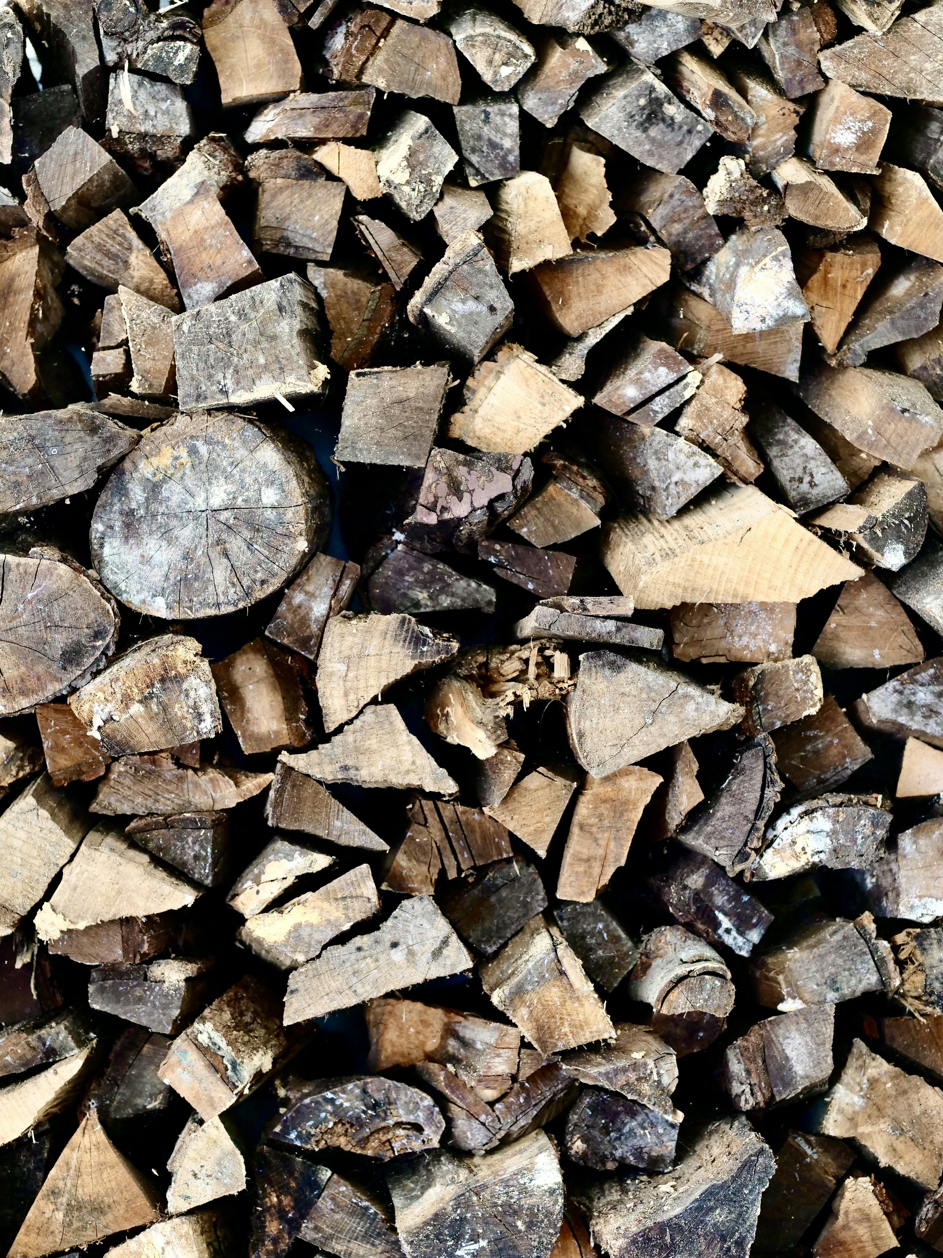A stack of cut firewood logs